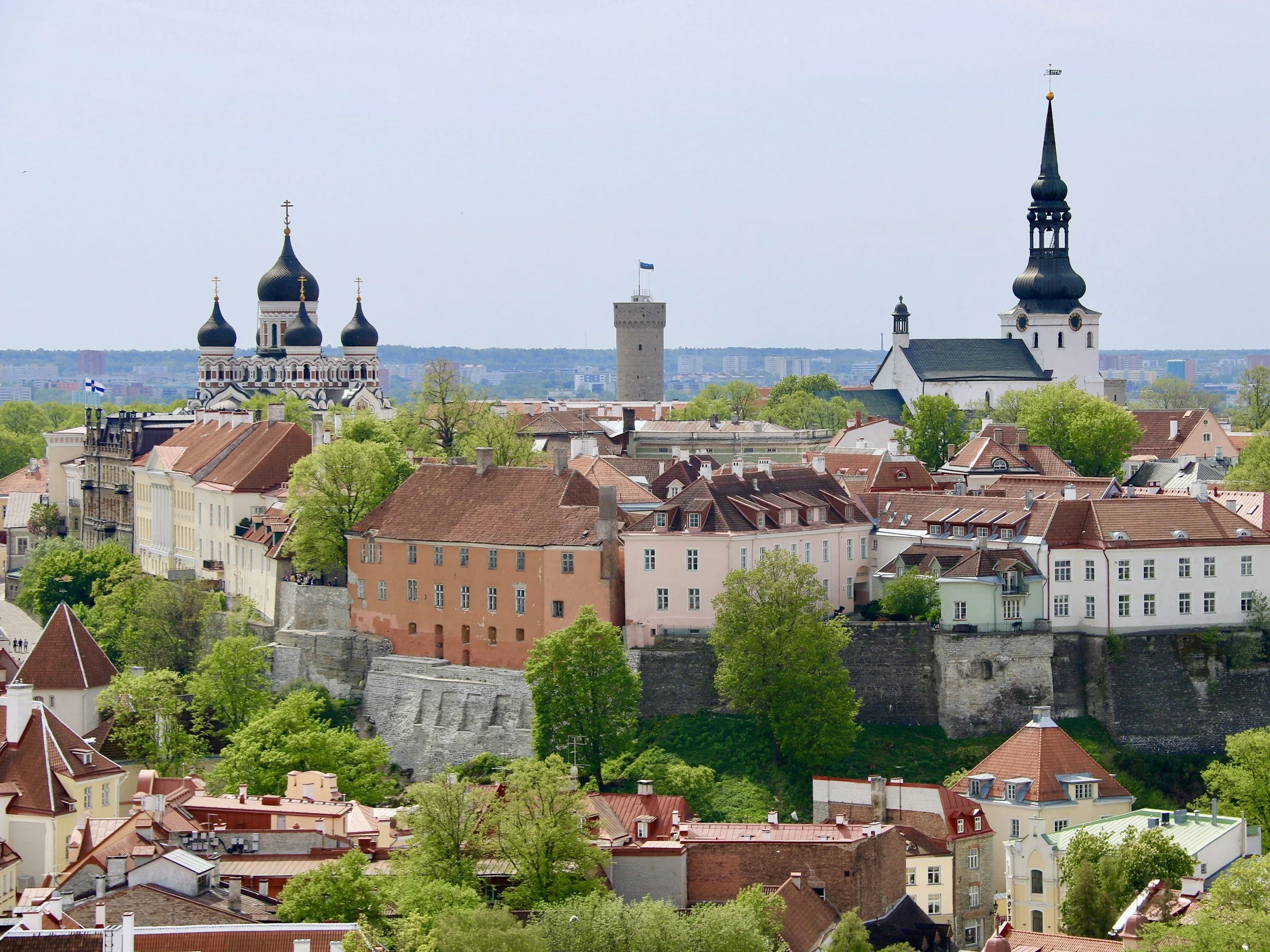 Panoramic view of Tallinn, Estonia, showing historic buildings and churches with distinctive domes and spires, green trees, and a fortress wall in the foreground.