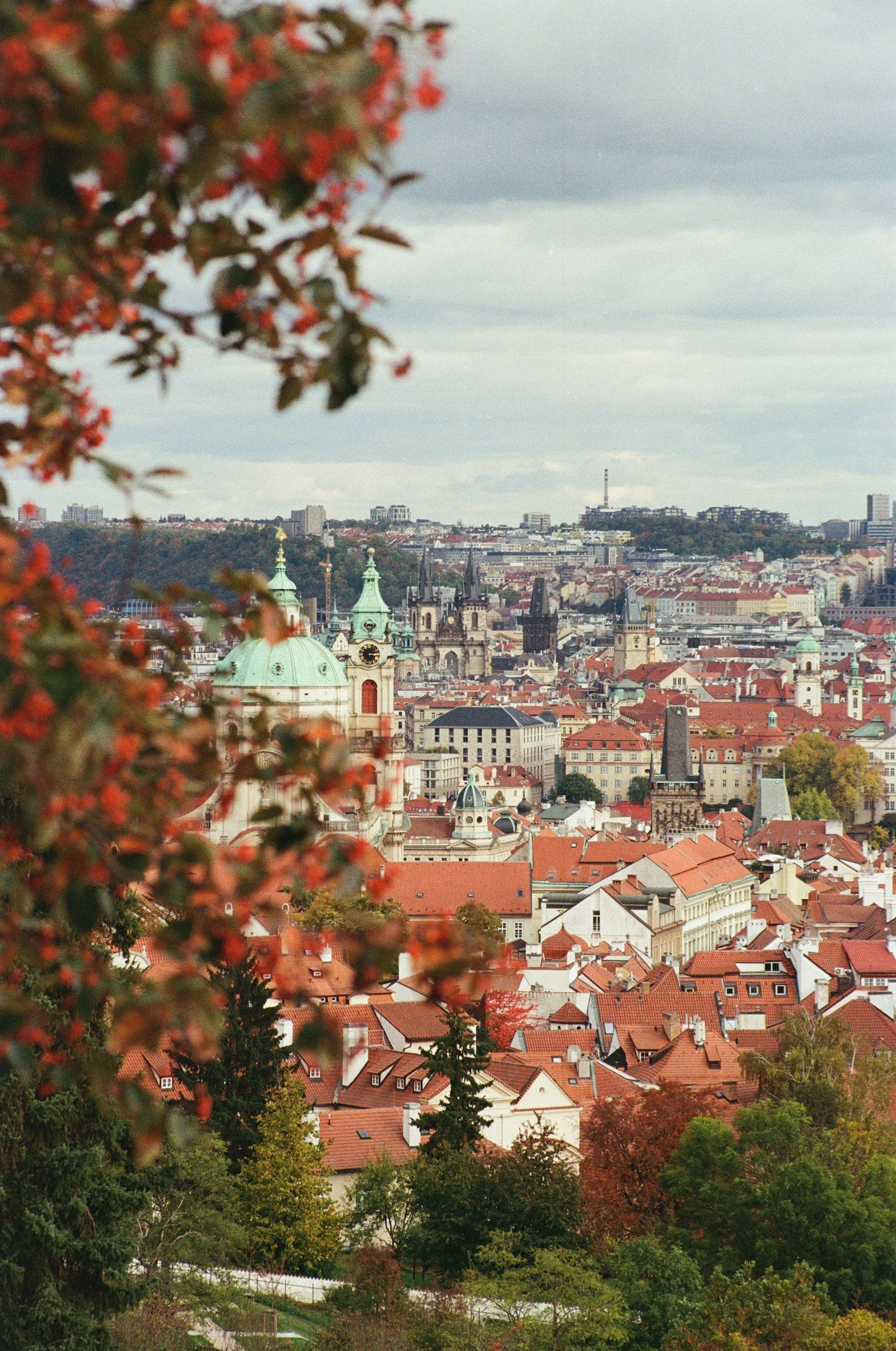 View of Prague cityscape with historic buildings and red rooftops, seen through autumn leaves in the foreground.
