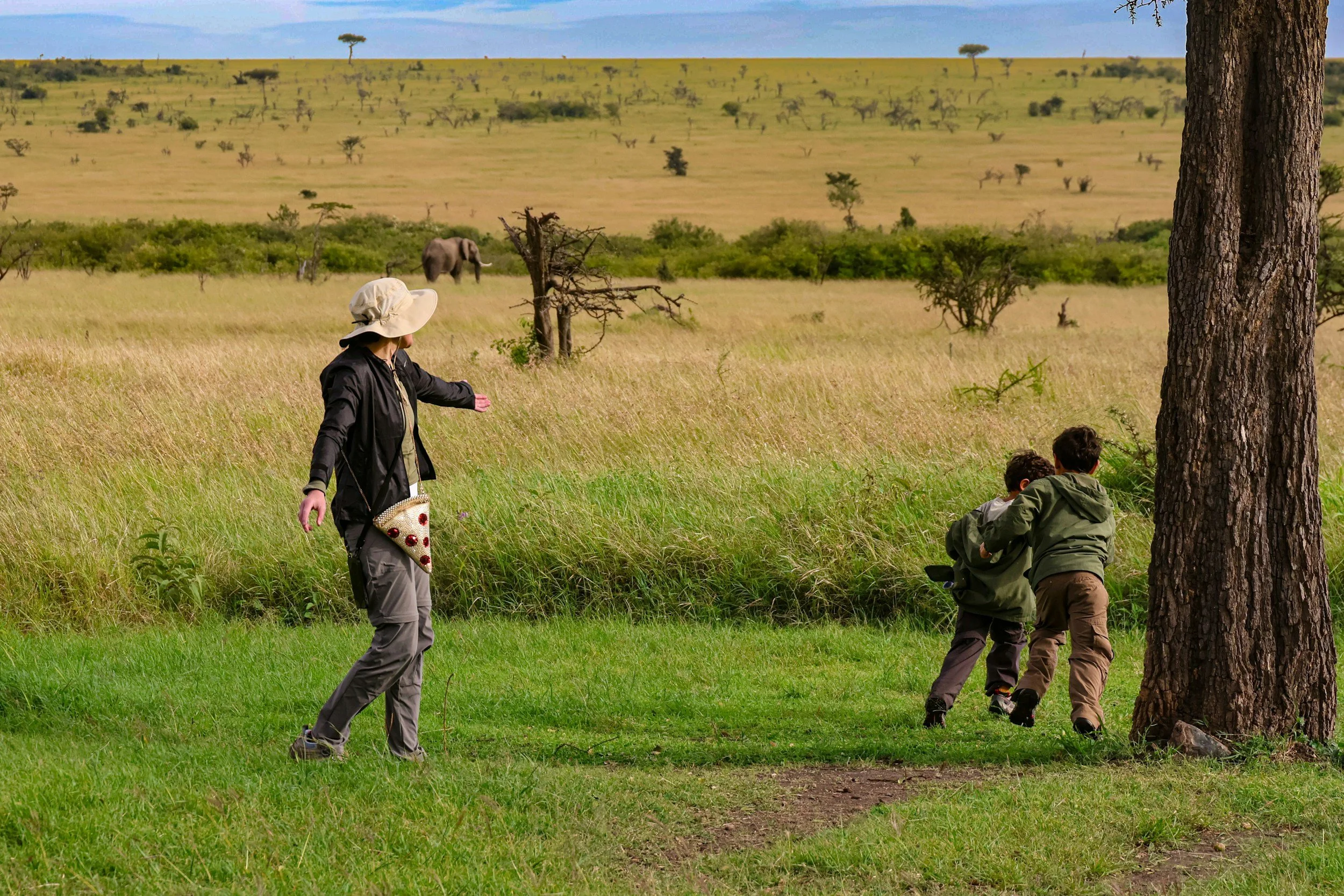 A woman standing in a grassy field, gesturing towards two boys hiding behind a large tree, with an savannah landscape, trees, and an elephant in the background.
