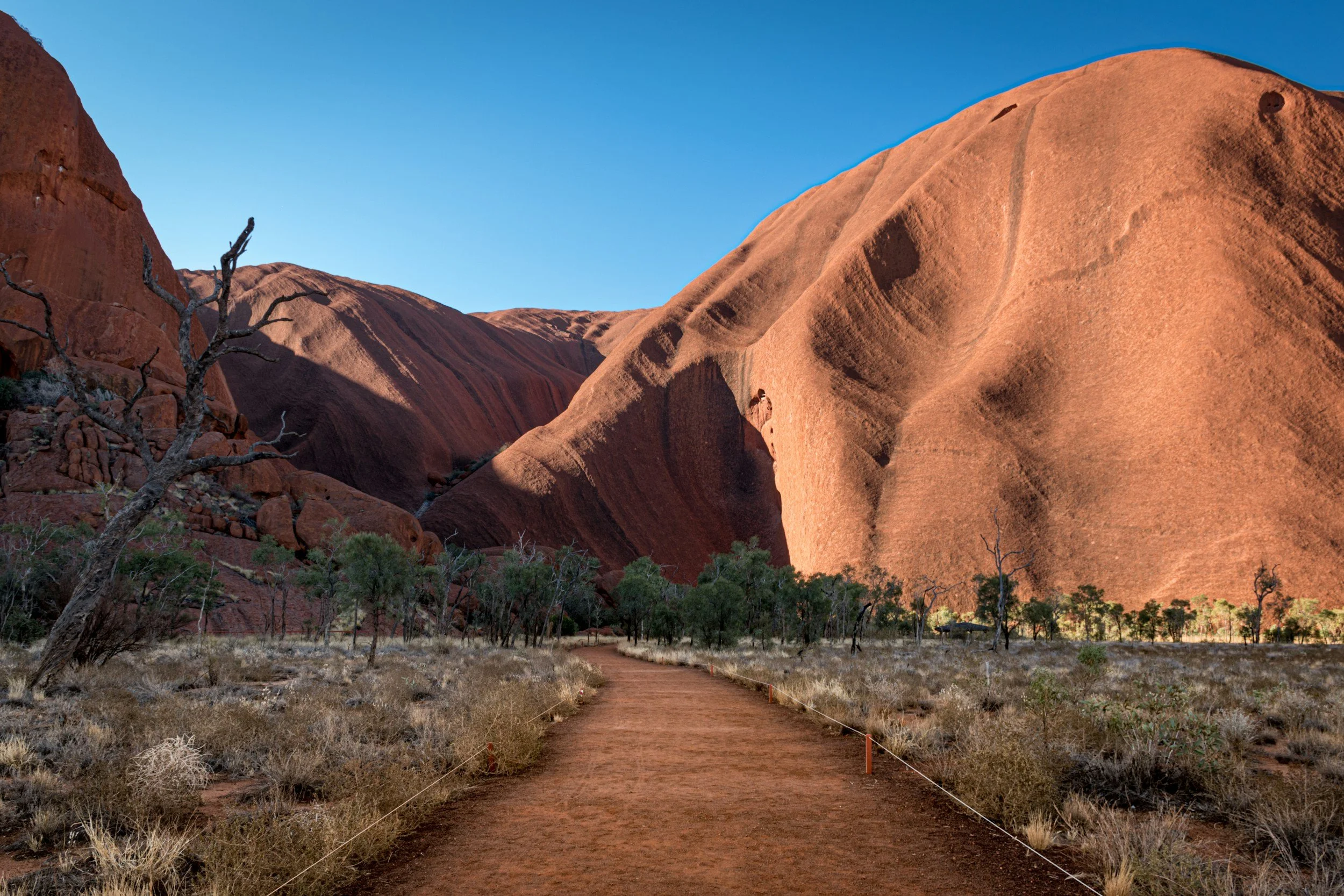 Join our Uluru Adventure