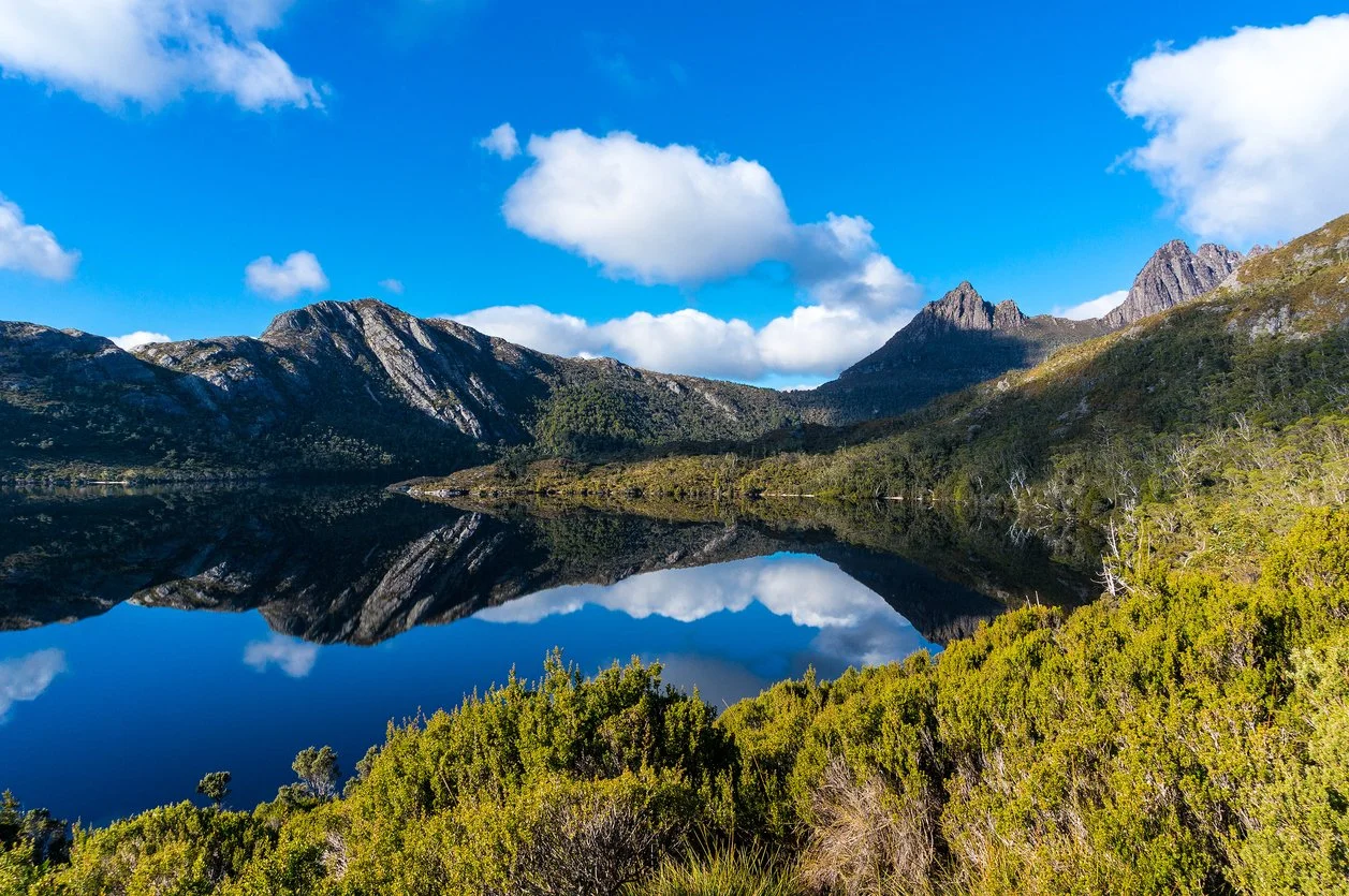 Save up to $1,300 on APT Tasmania Complete Solo Departures