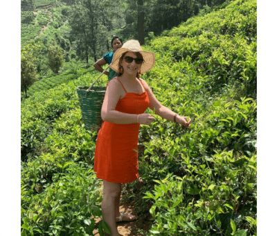 Two women harvesting tea leaves in a lush green tea plantation, one wearing a red dress, wide-brimmed hat, and sunglasses, and the other in the background.
