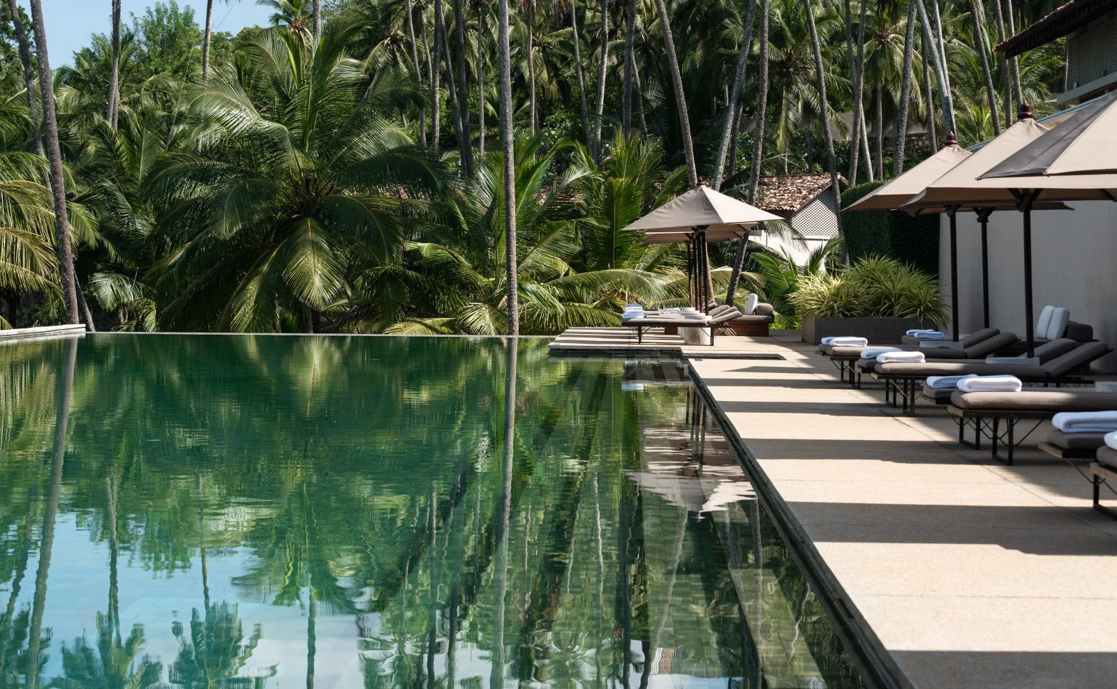 Luxury poolside area with lounge chairs and umbrellas, surrounded by lush tropical greenery and palm trees.