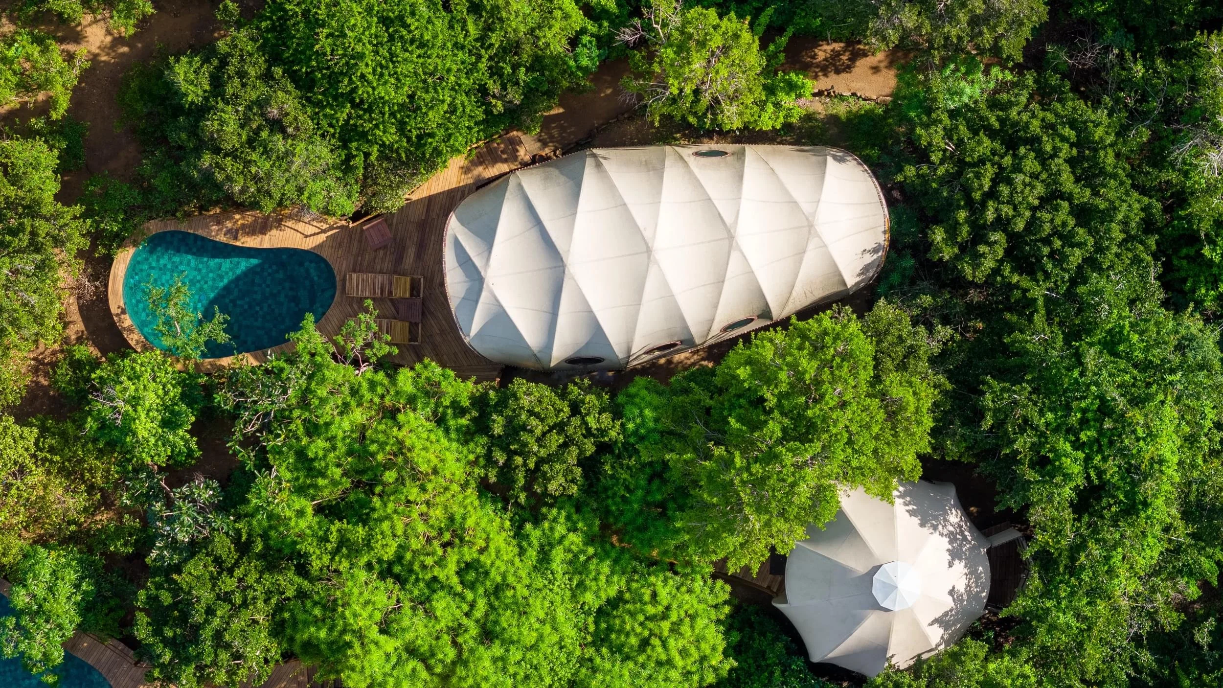 An aerial view of a winding blue swimming pool, a white building with a geometric roof, and a large white umbrella, all surrounded by dense green trees.