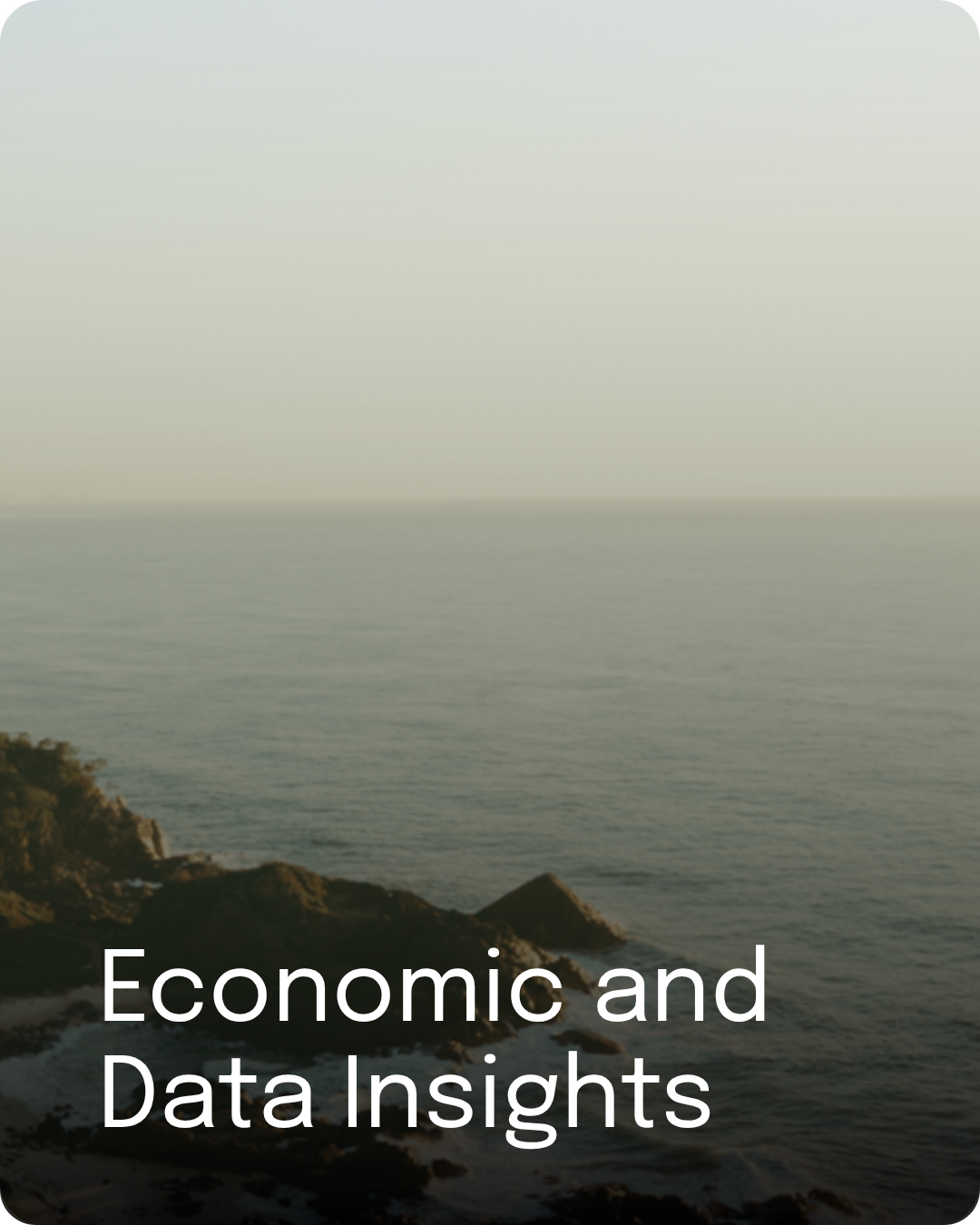 Calm ocean horizon viewed from a coastal landscape, representing economic and data insights.