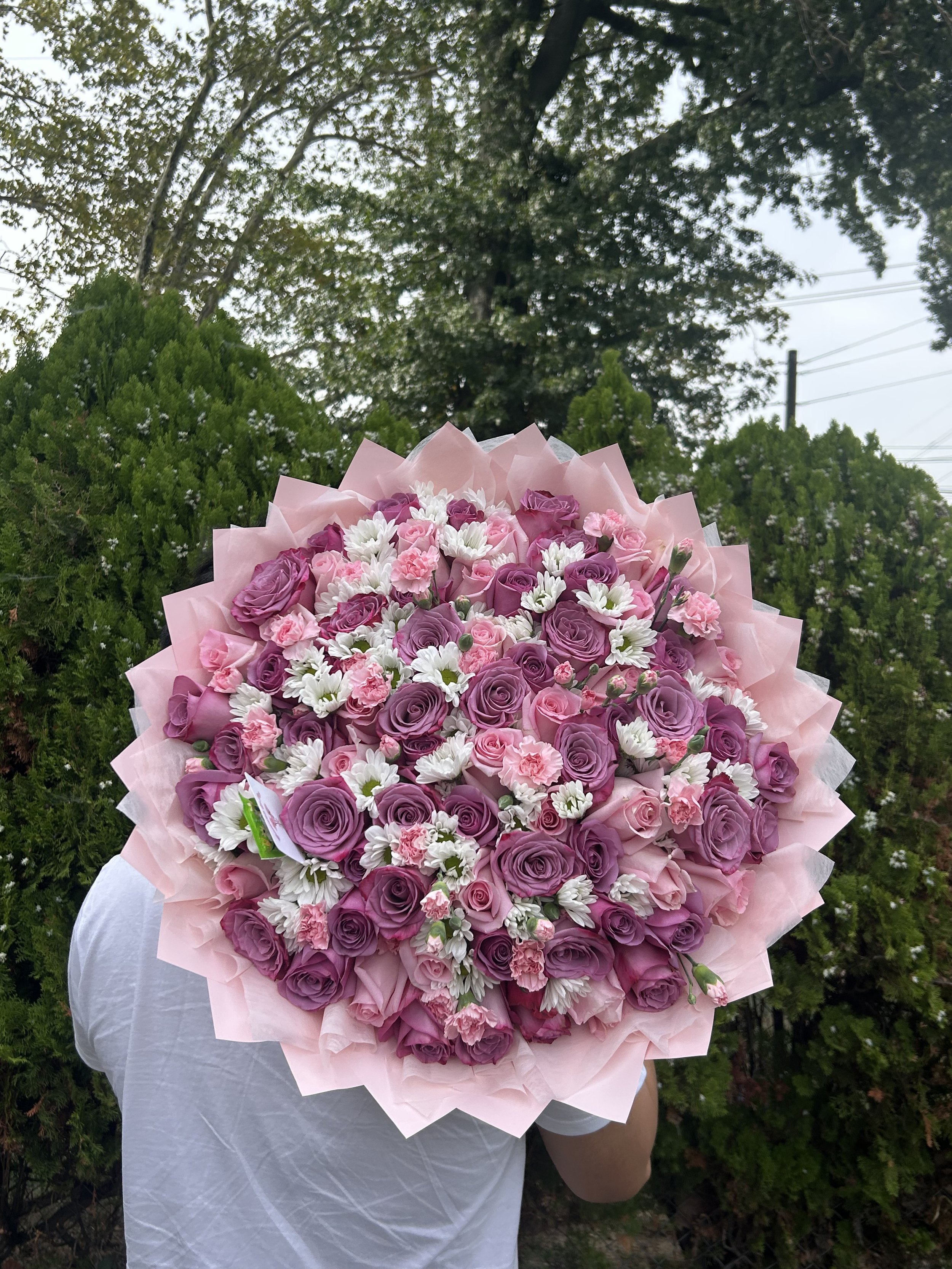 Lavender Blush 💟