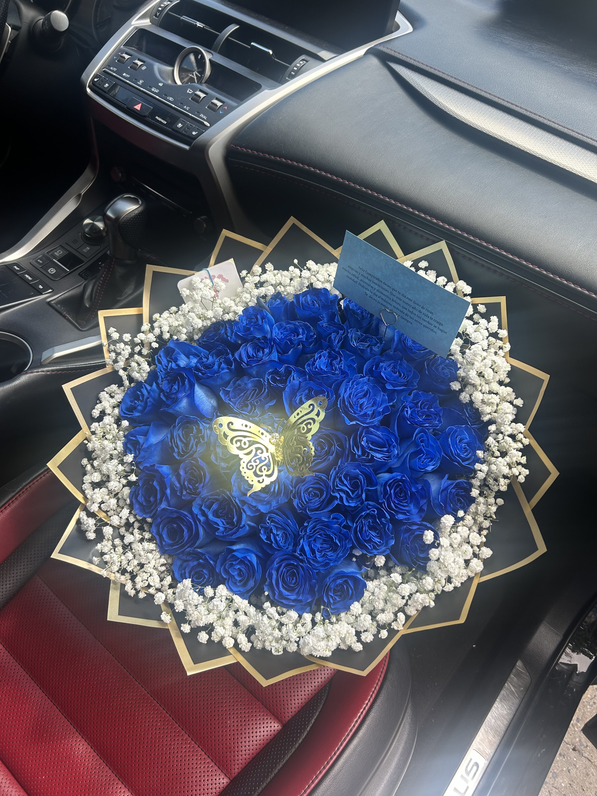 Sapphire Bloom 💎