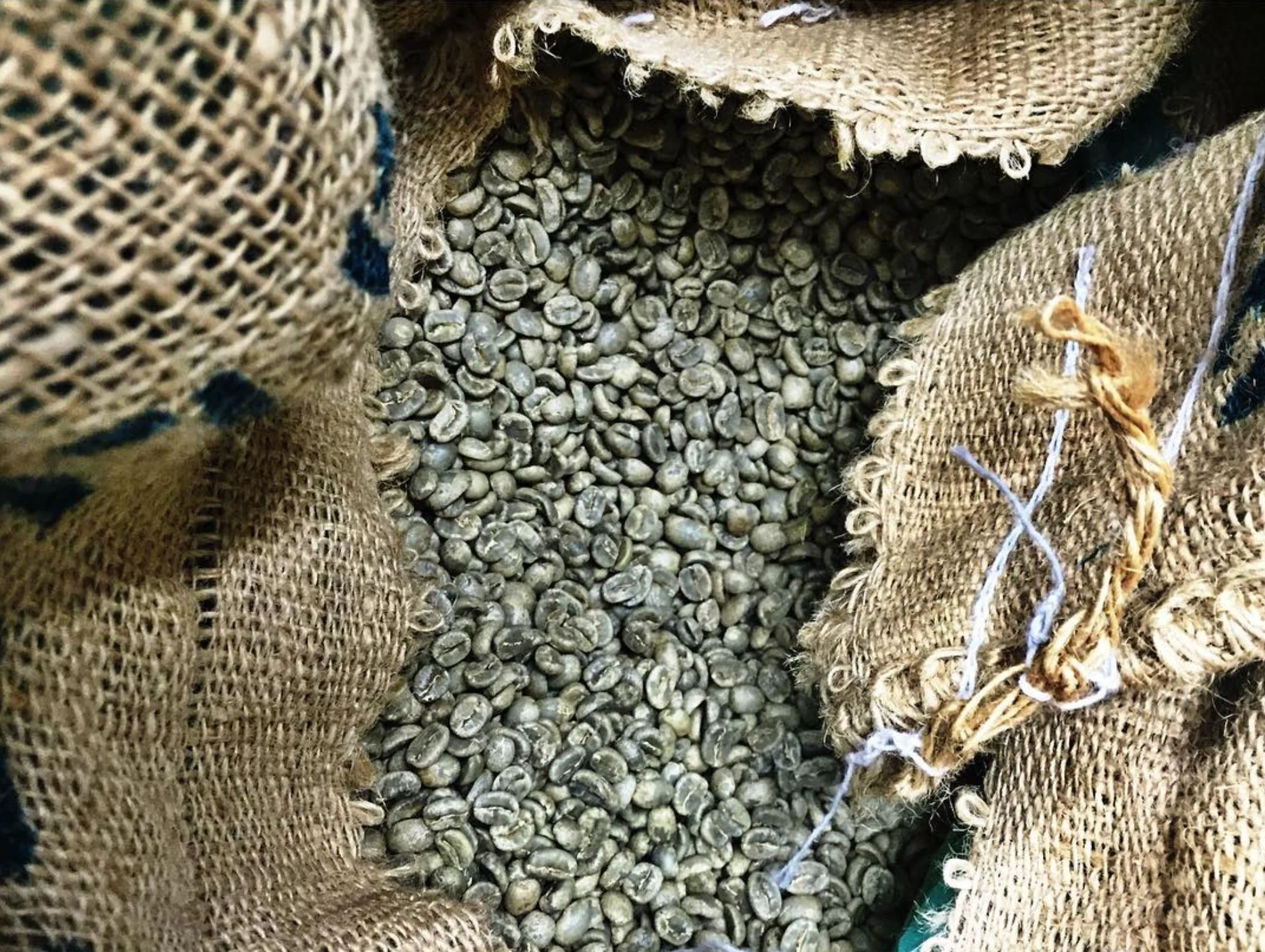killer-roasting-co-unroasted-green-coffee-beans.jpg