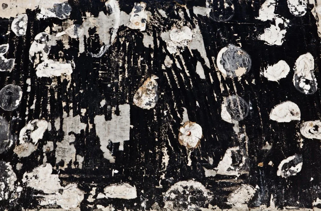 apperception-image-art.jpg