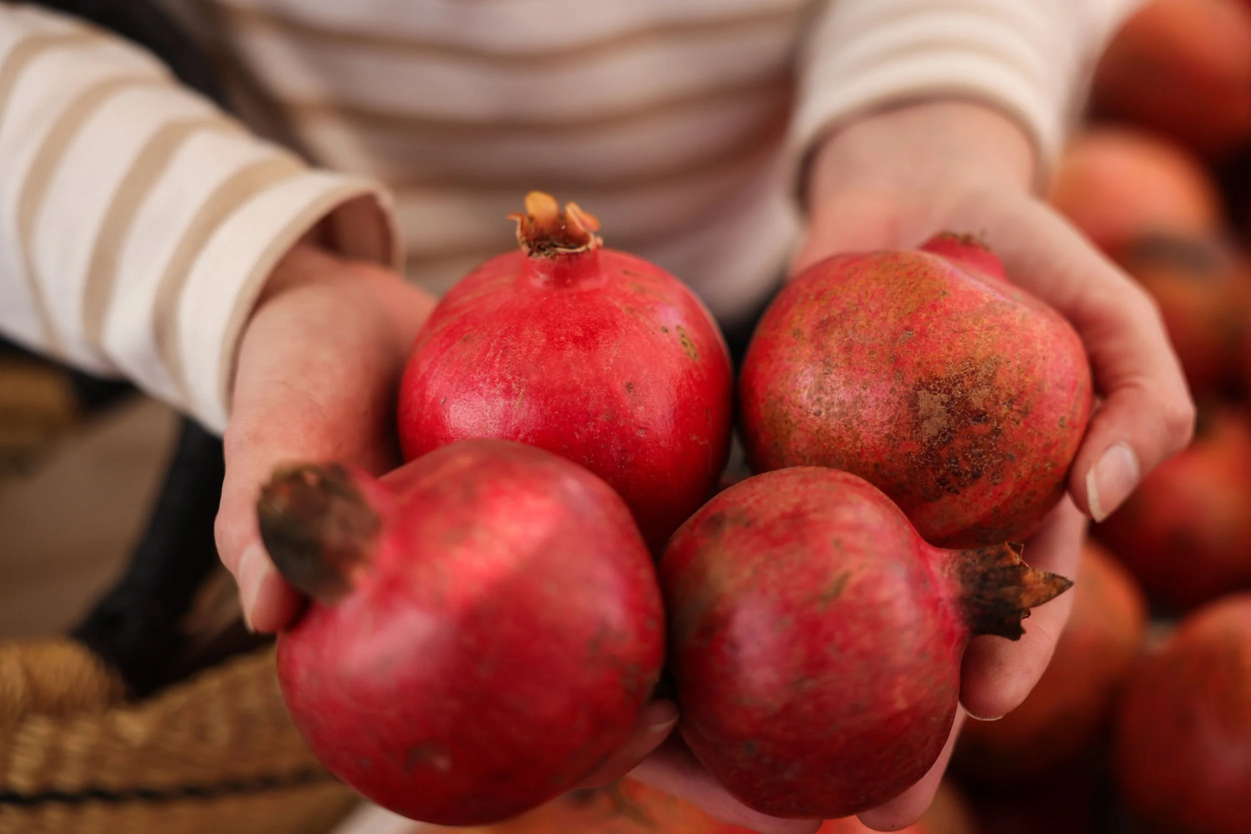 hands_holding_persimmons.jpg