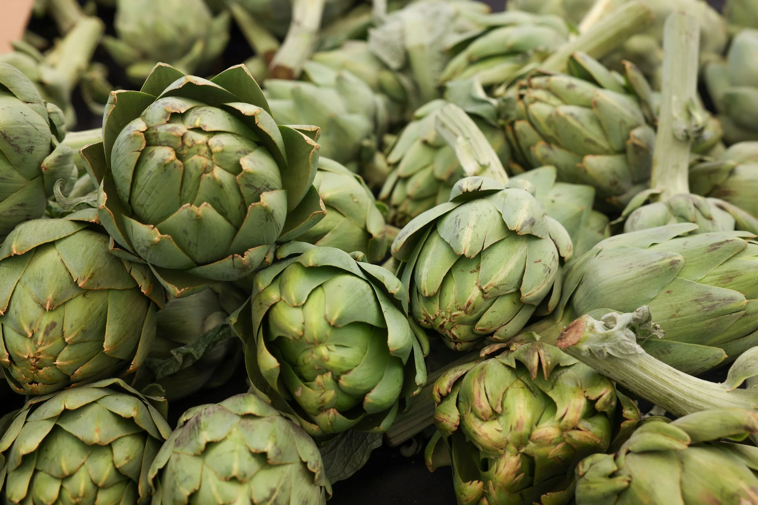 fresh_artichokes.jpg
