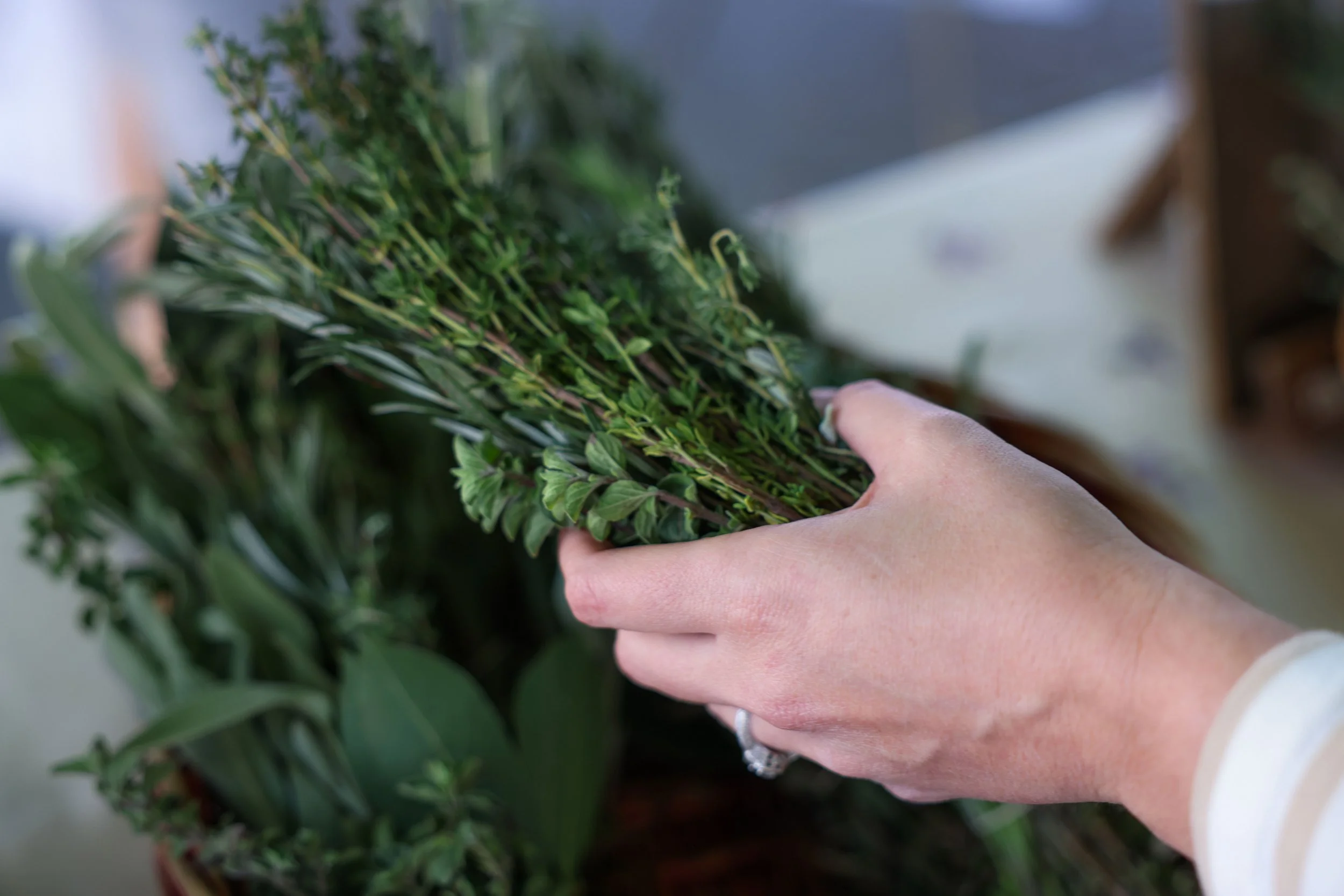 hand_holding_herb_bundle.jpg