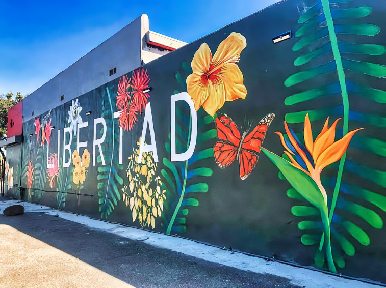 ARVAC: EMPOWERING THE ALUM ROCK VILLAGE COMMUNITY