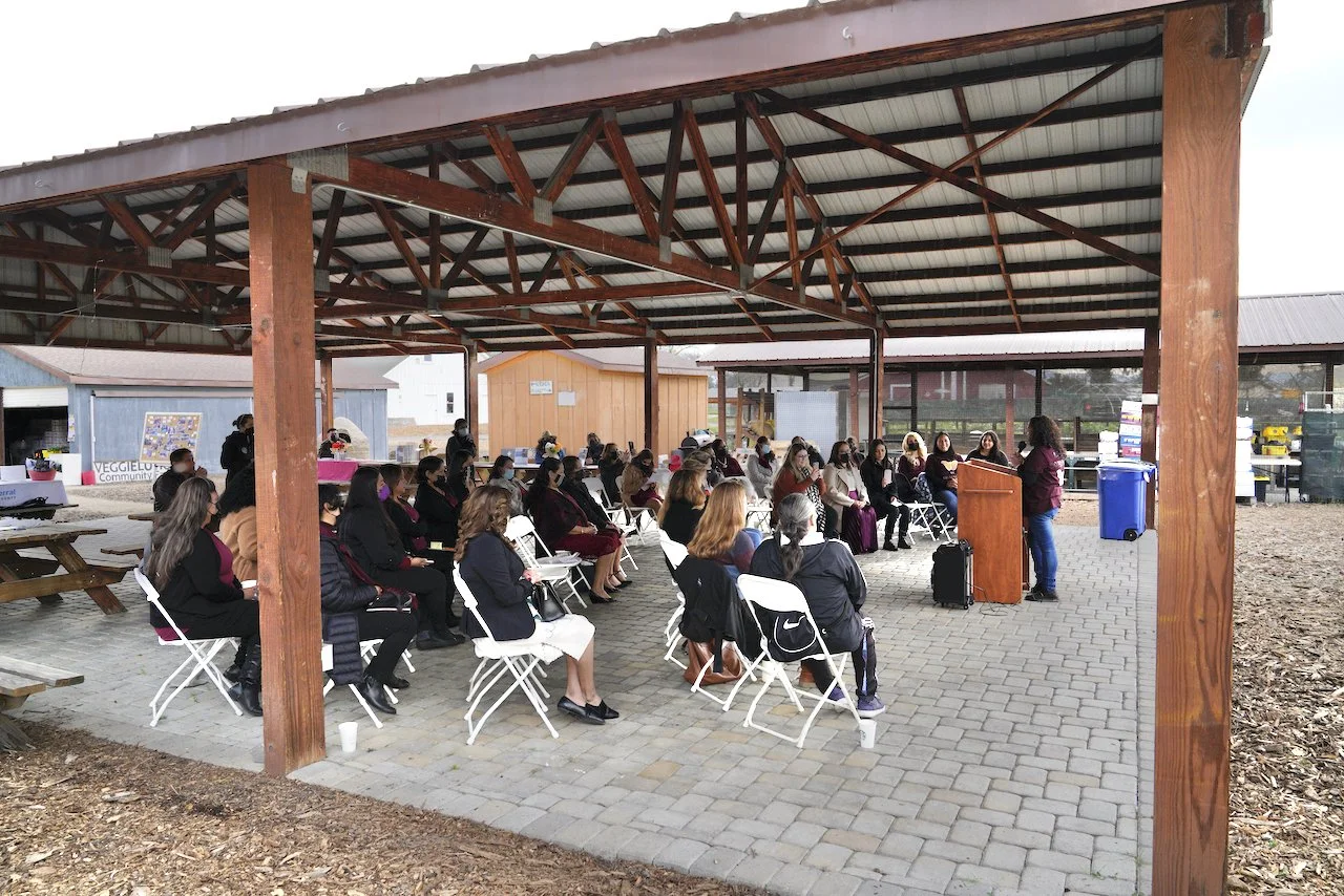 BRIDGING POSSIBILITIES