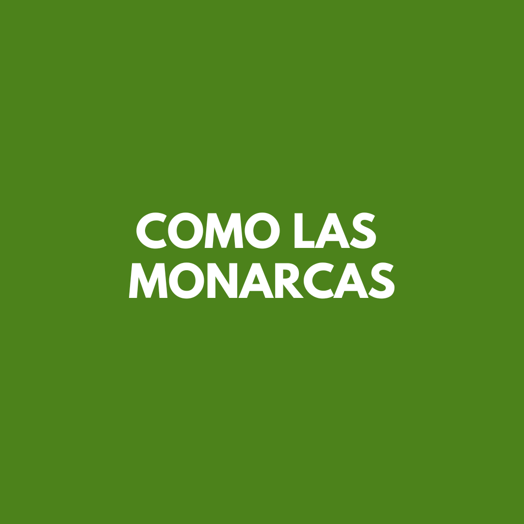 COMO LAS MONARCAS