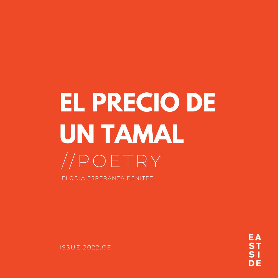 EL PRECIO DE UN TAMAL