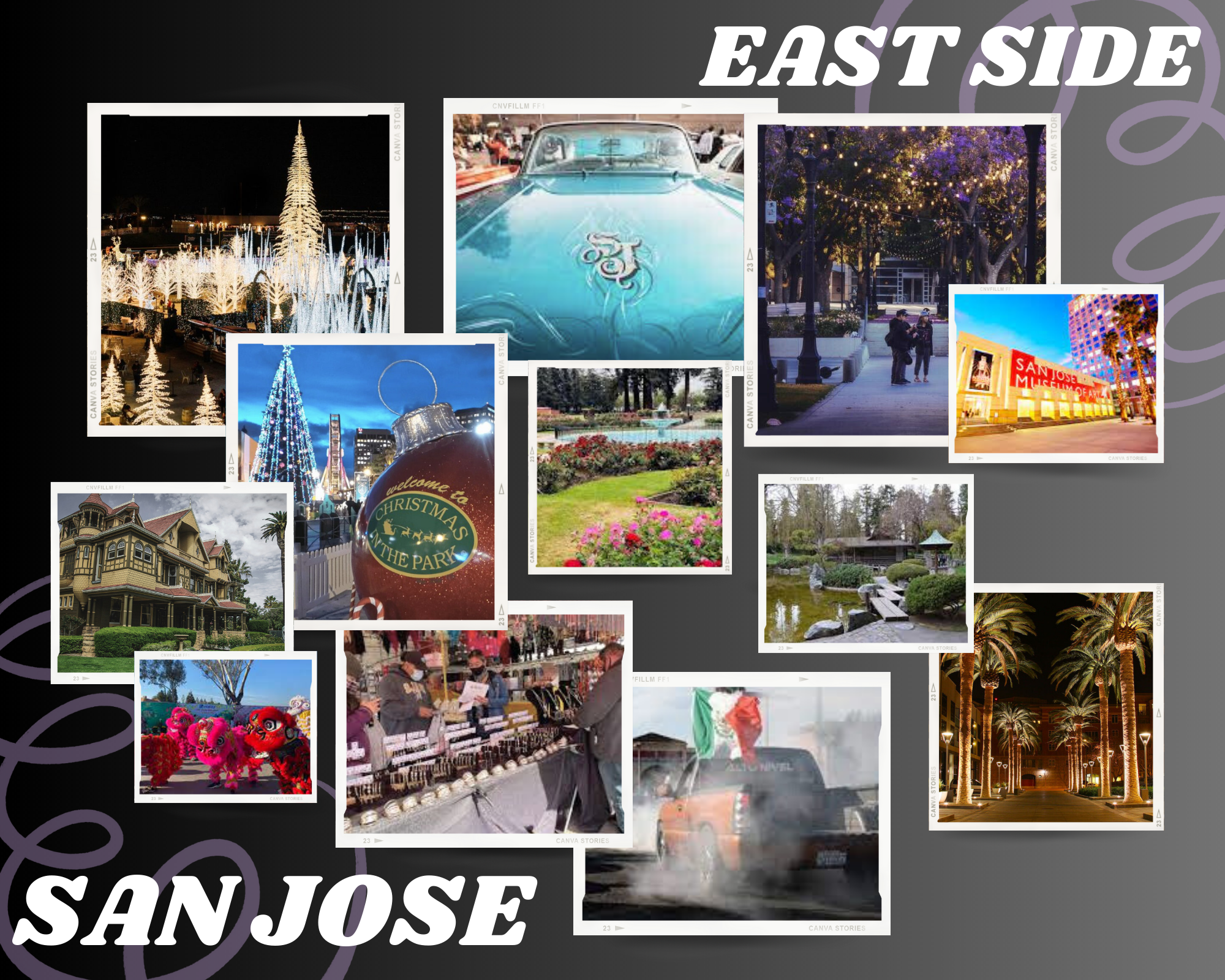 Stephanie Salgado, Period4 .png