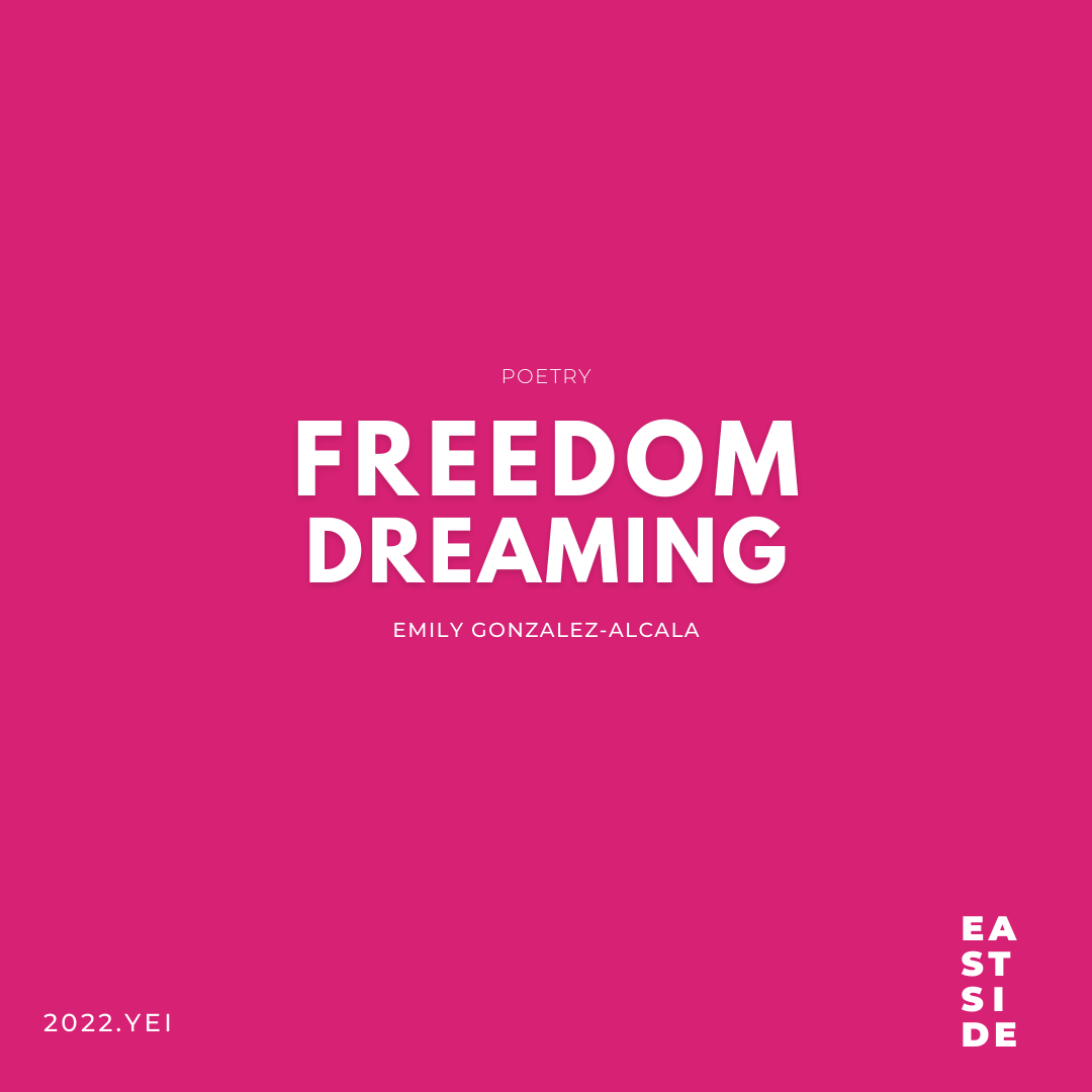 FREEDOM DREAMING 