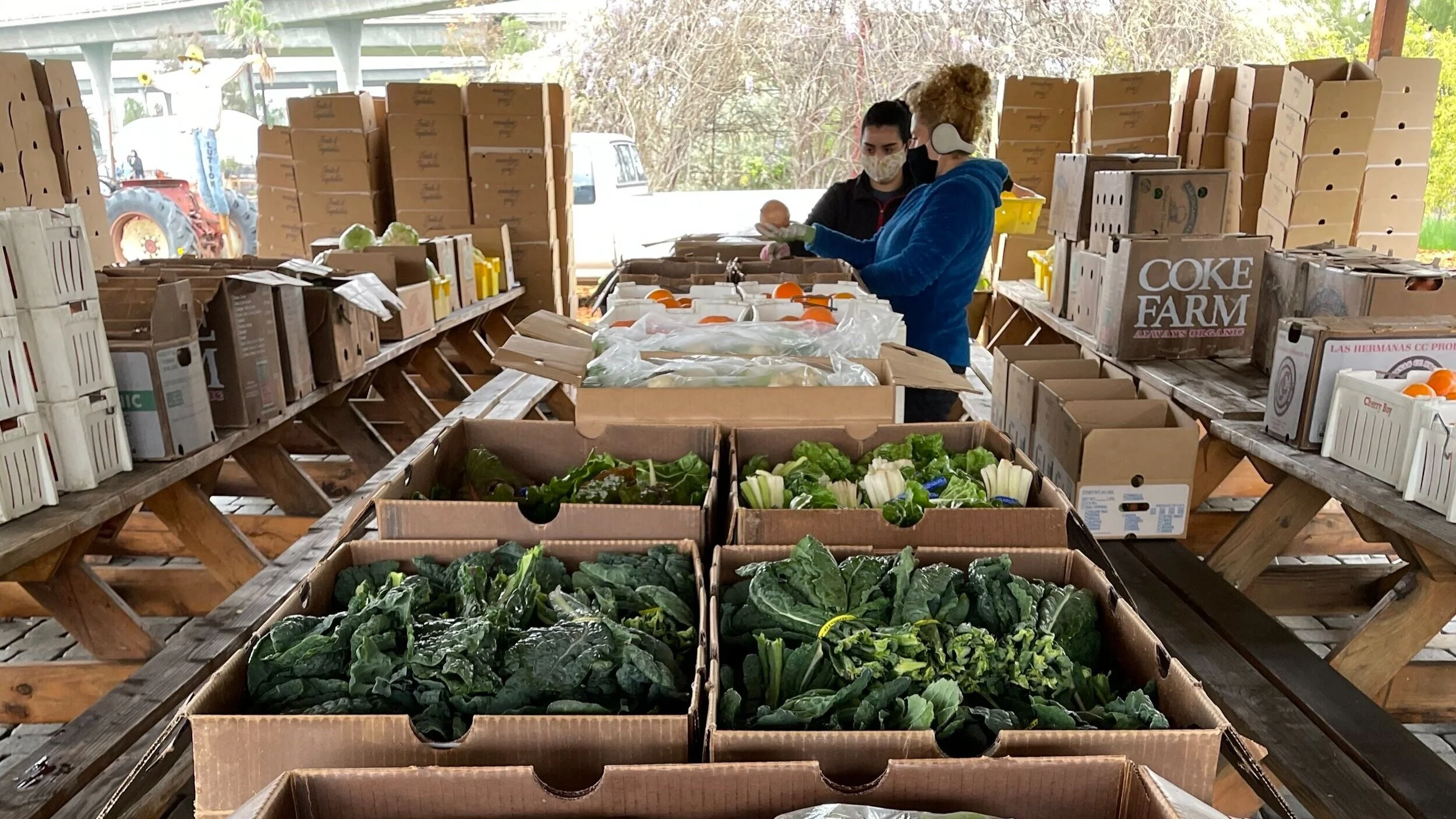 JUSTICIA ALIMENTARIA Y AMBIENTAL