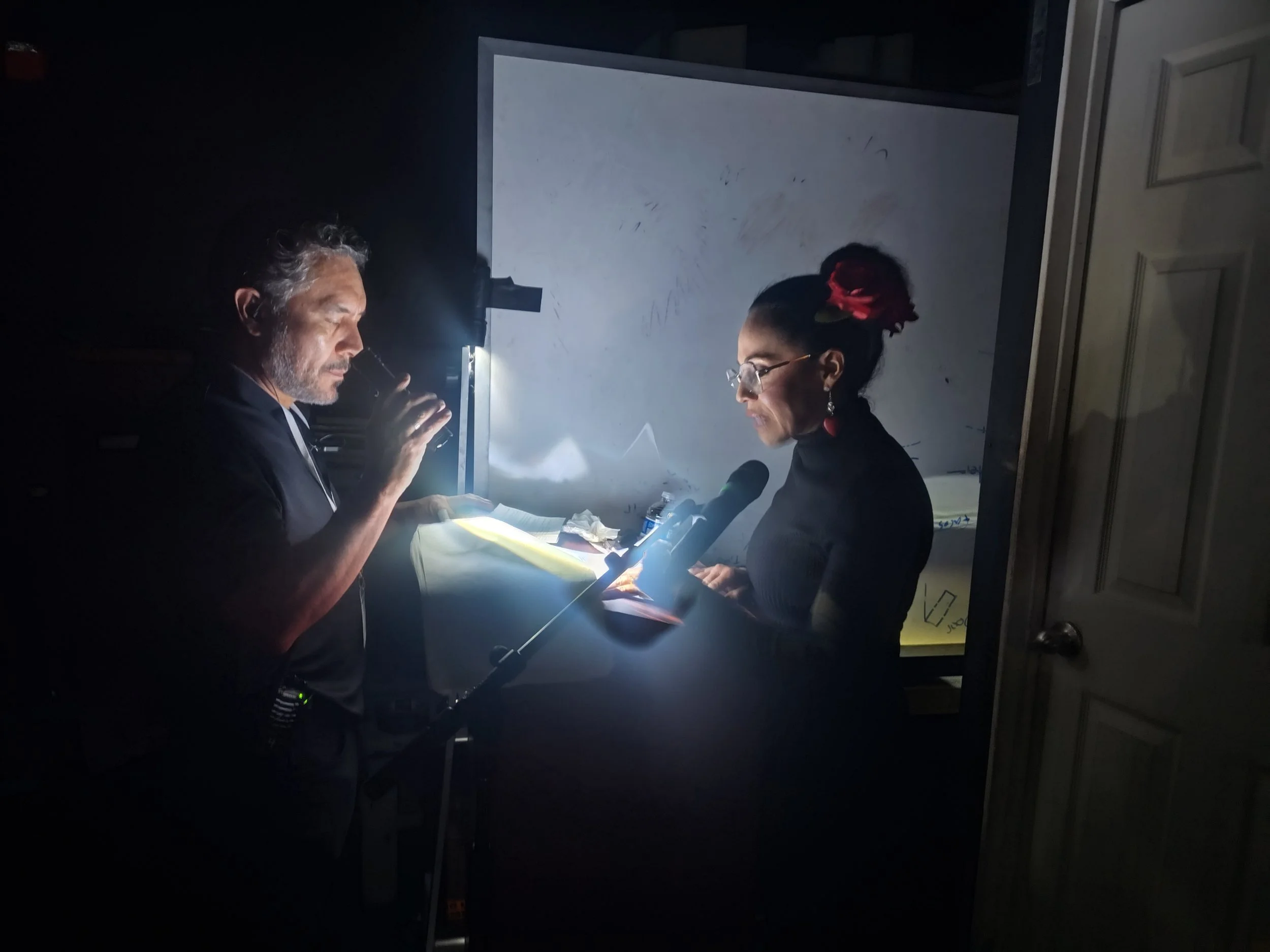 LOS MONÓLOGOS DE LA VAGINA