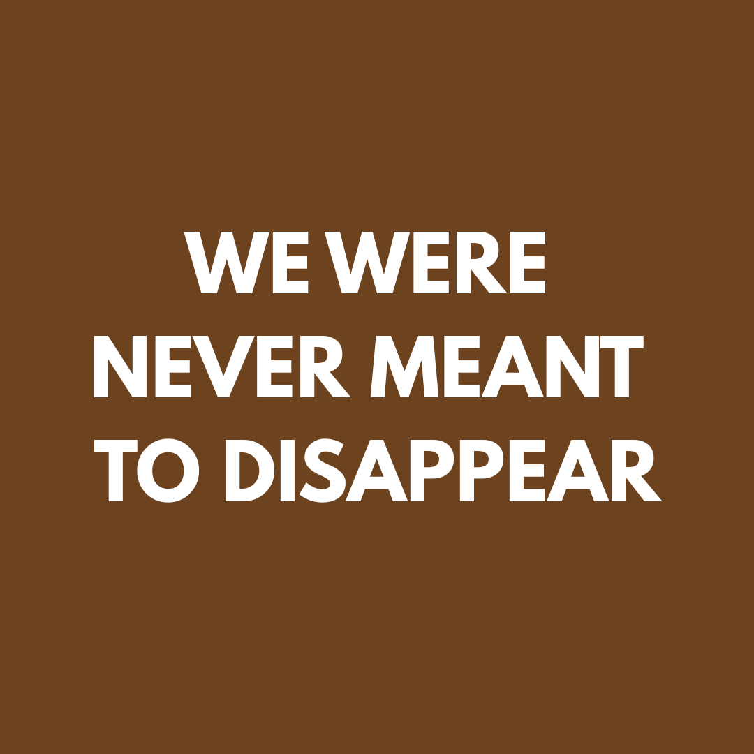 We Were Never Meant to Disappear