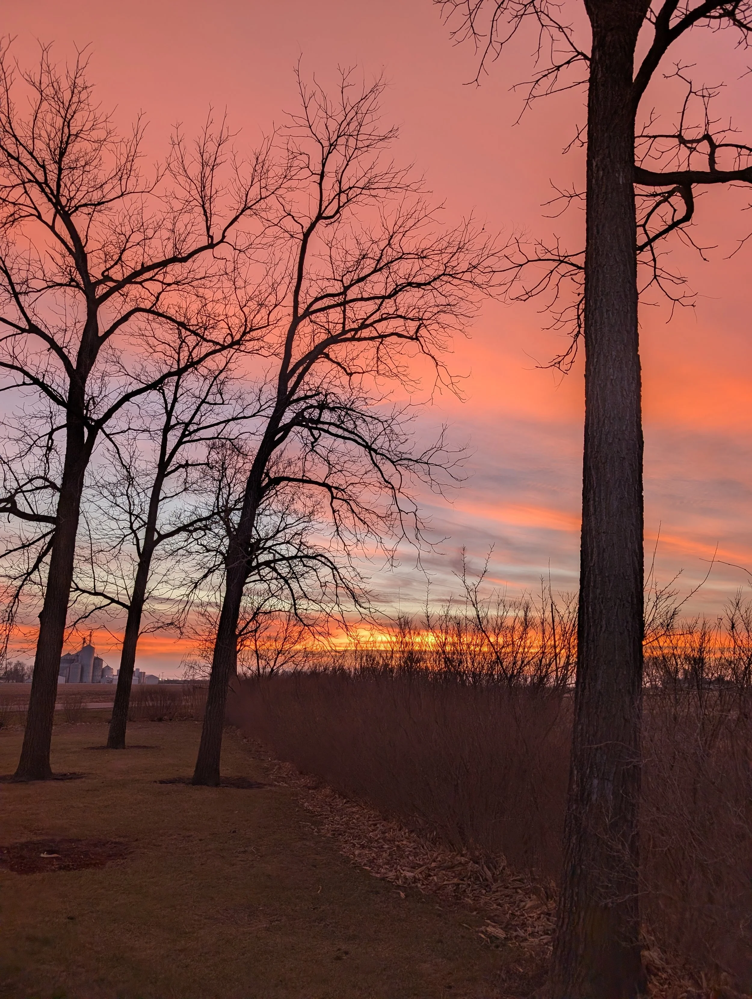 A sunset with pastel pink, orange, and purple clouds, bare trees along a path, and a distant farm with silos on the horizon.