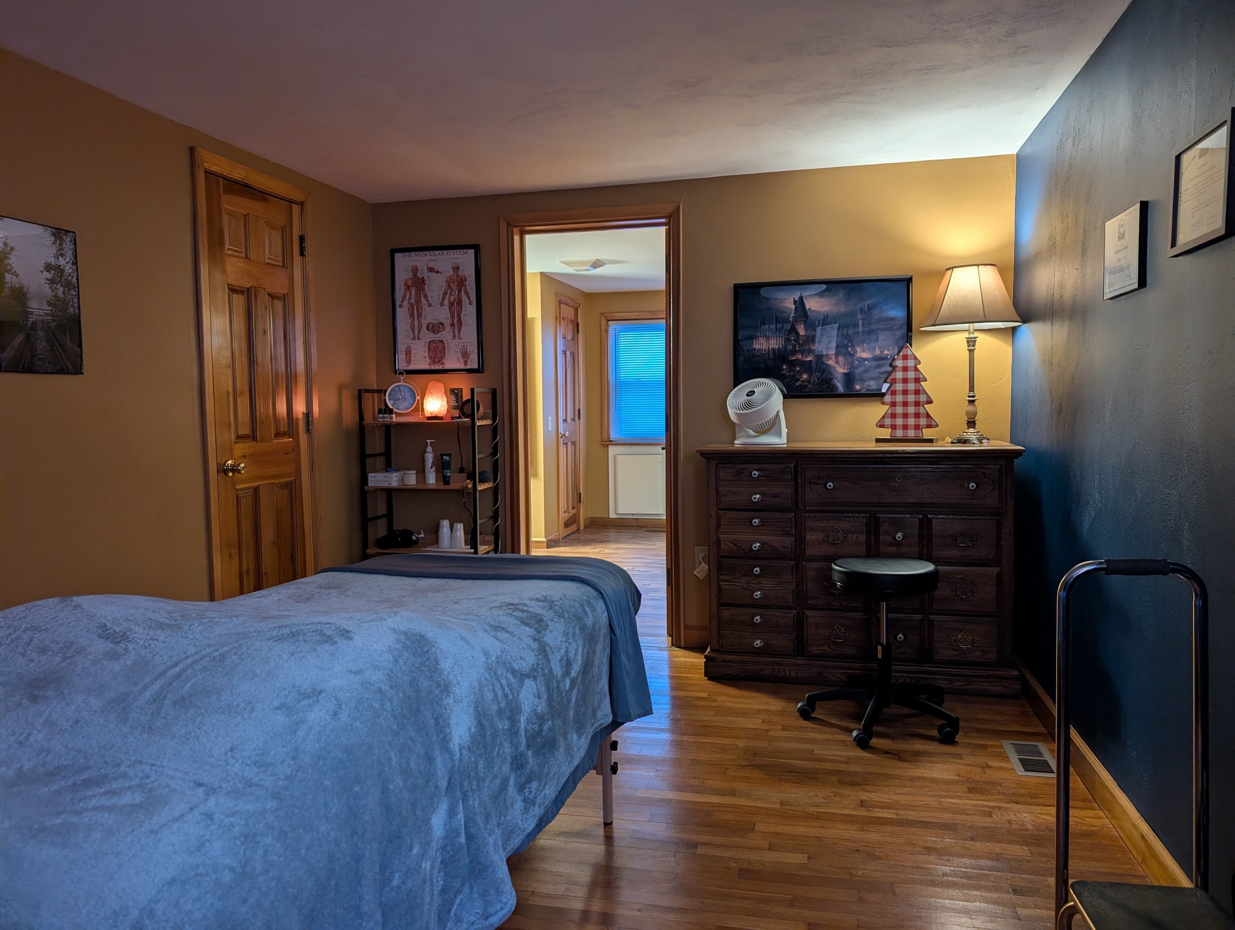 Healing Is Human - Bridging Science, Somatics, and Soul in Chronic Pain &amp; Stress Care