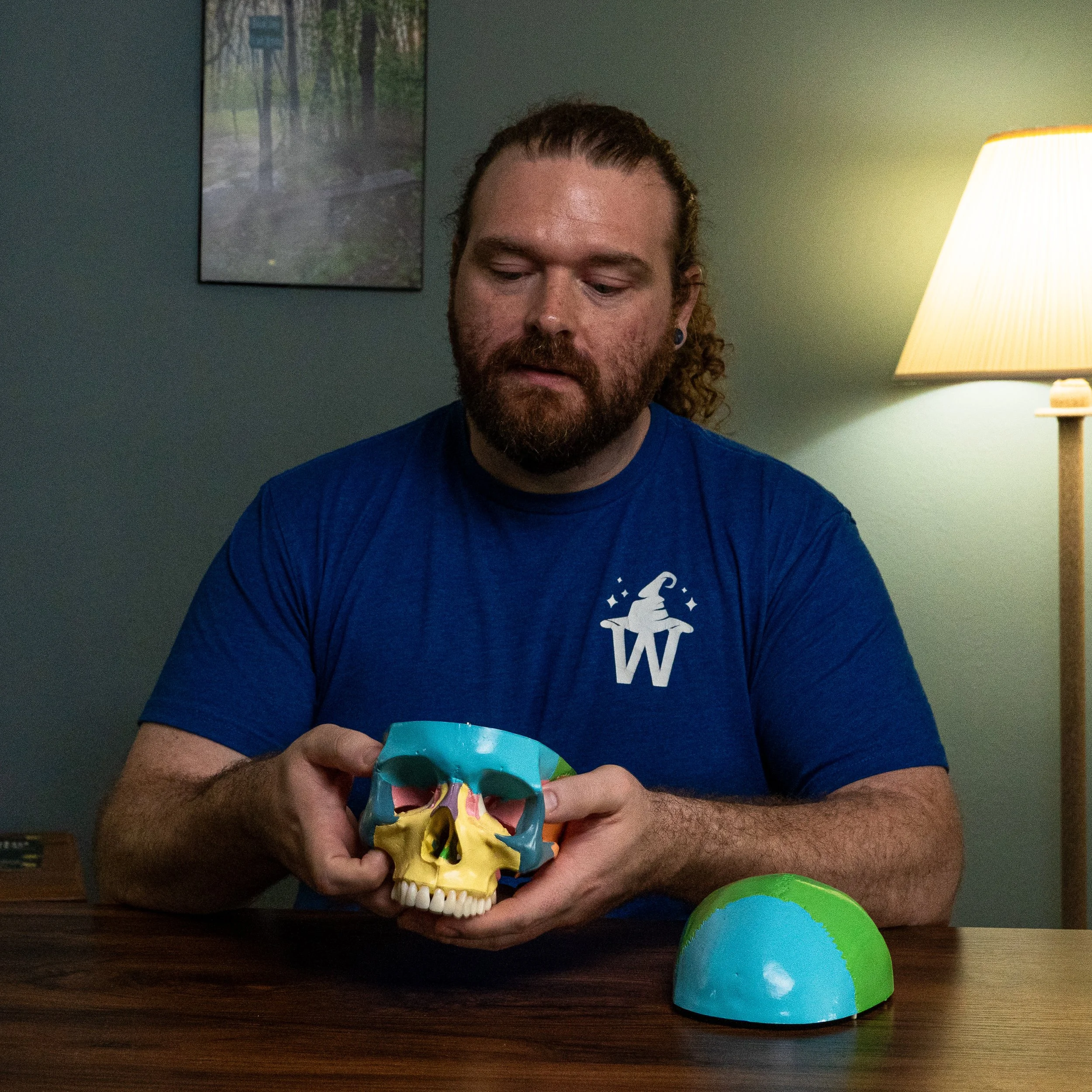 Person with curly hair and beard looking at a colorful skull model on a table, with a moon-shaped colorful ball nearby, in front of a green wall with a framed picture and a lit table lamp.