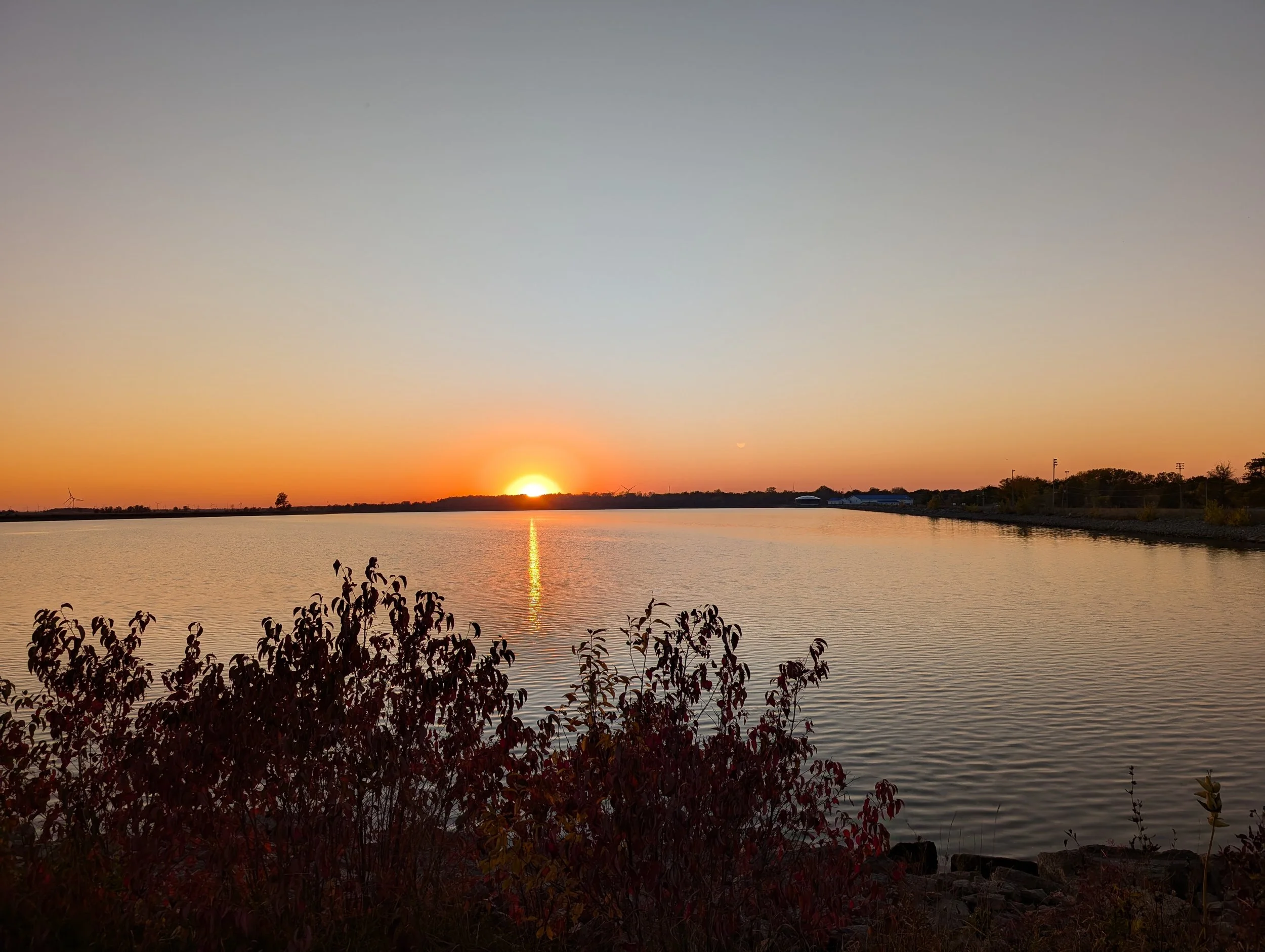Sunset over a calm body of water with silhouetted bushes in the foreground and a clear sky.