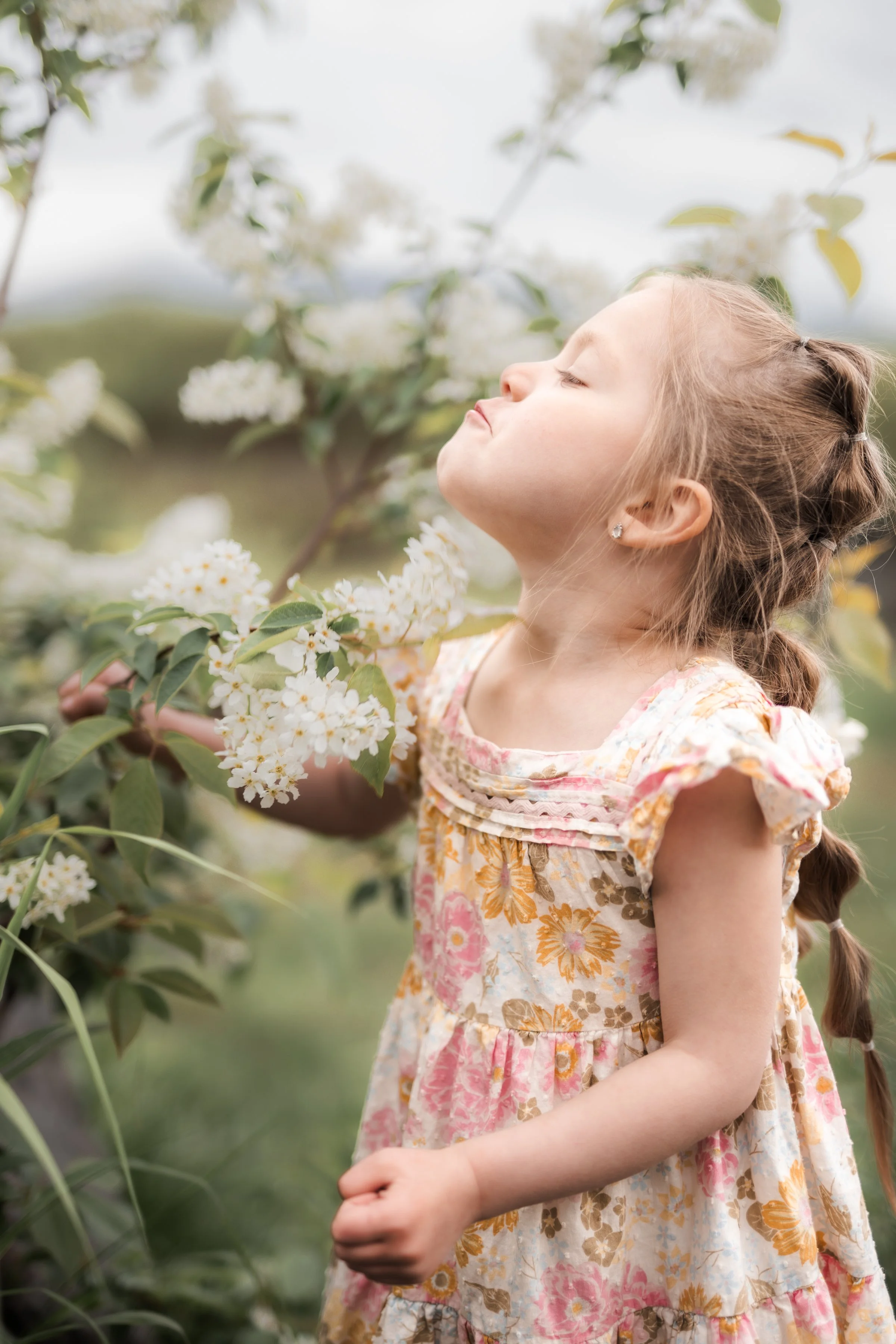 A young girl with a braid and floral dress smelling white flowers on a bush outdoors. Palmer Hay Flats, Wasilla AK