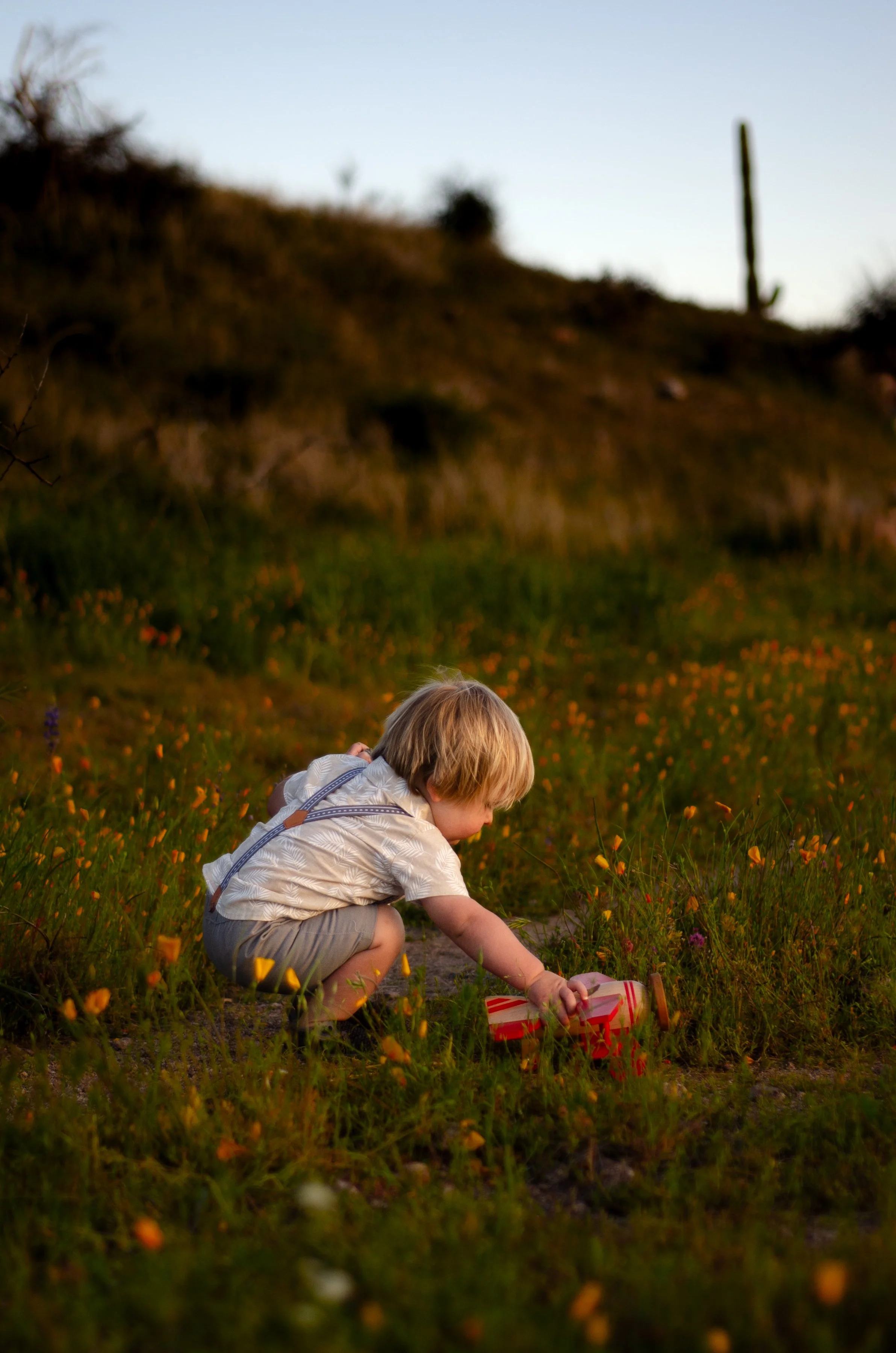 A young boy with blond hair, wearing a light-colored shirt and shorts, crouches down in a field of wildflowers at sunset, playing with a small red and white toy airplane. Milestone birthday session, Wasilla AK.