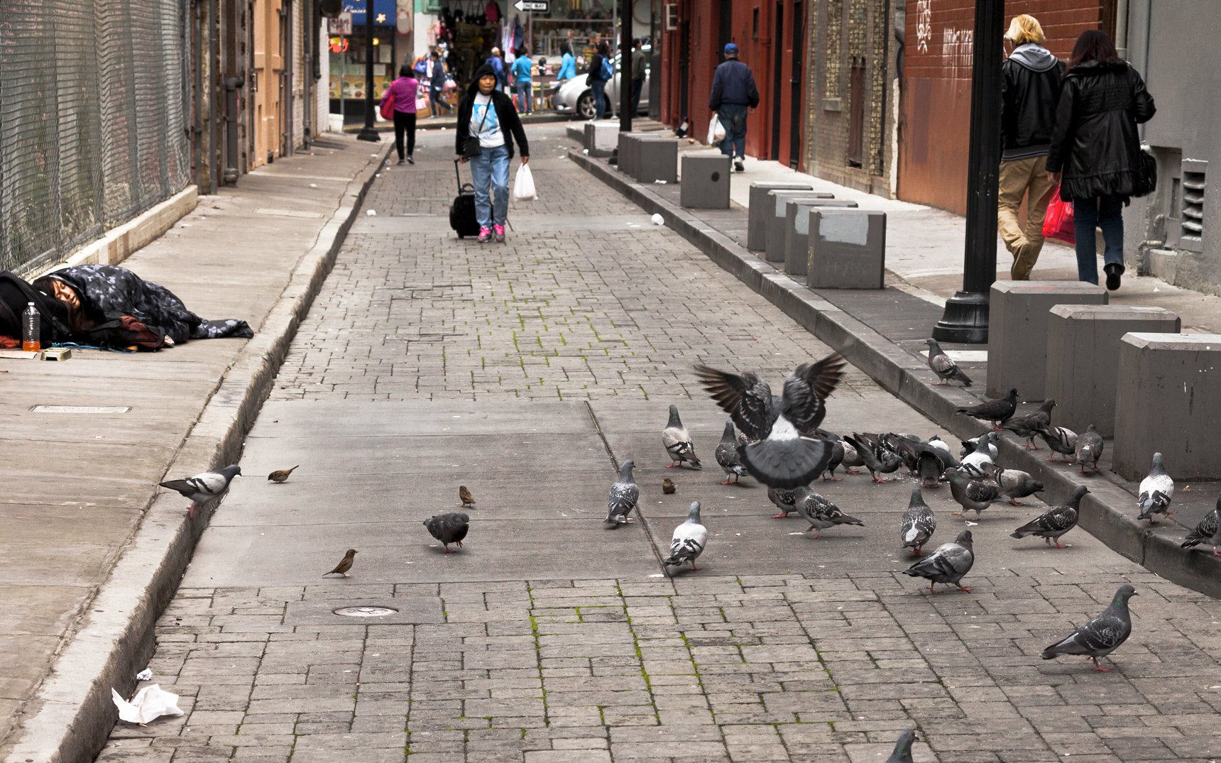 bg_Street_4764.jpg
