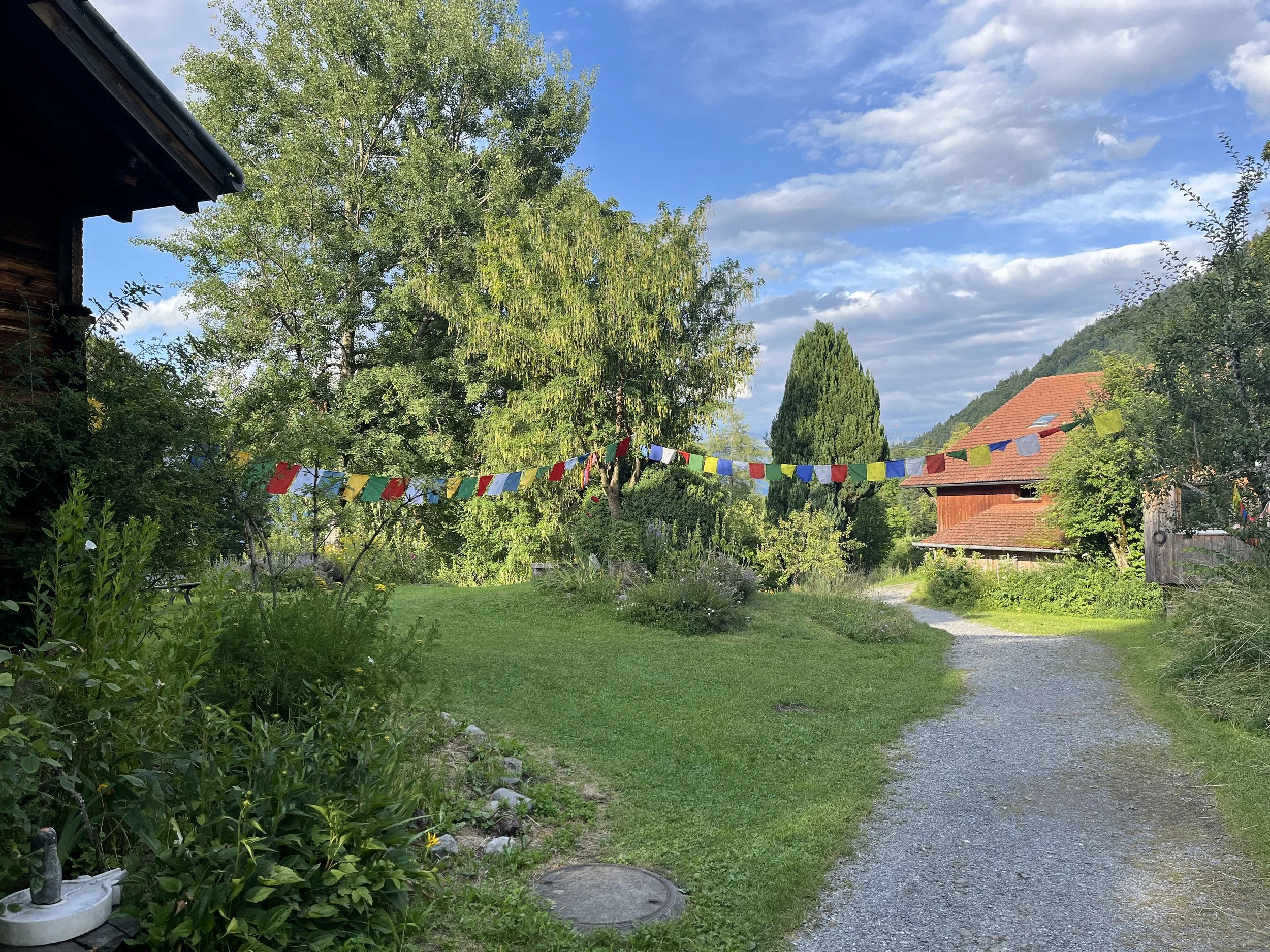 IMG_2329.jpeg
