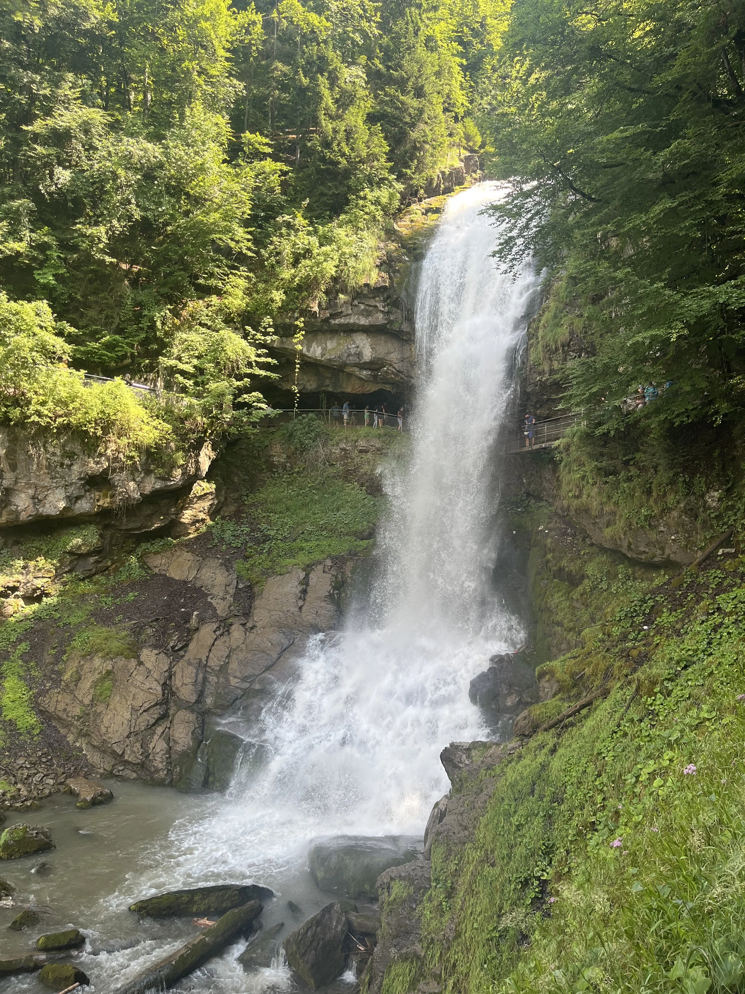 IMG_2309.jpeg