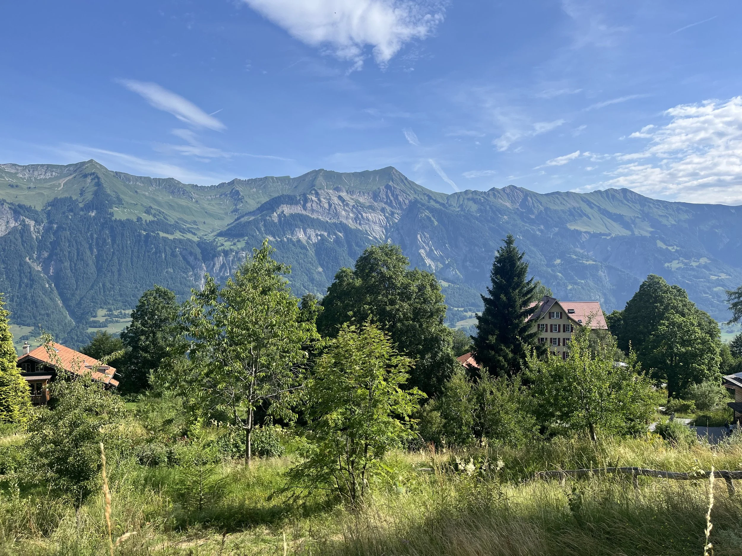 IMG_2088.jpeg