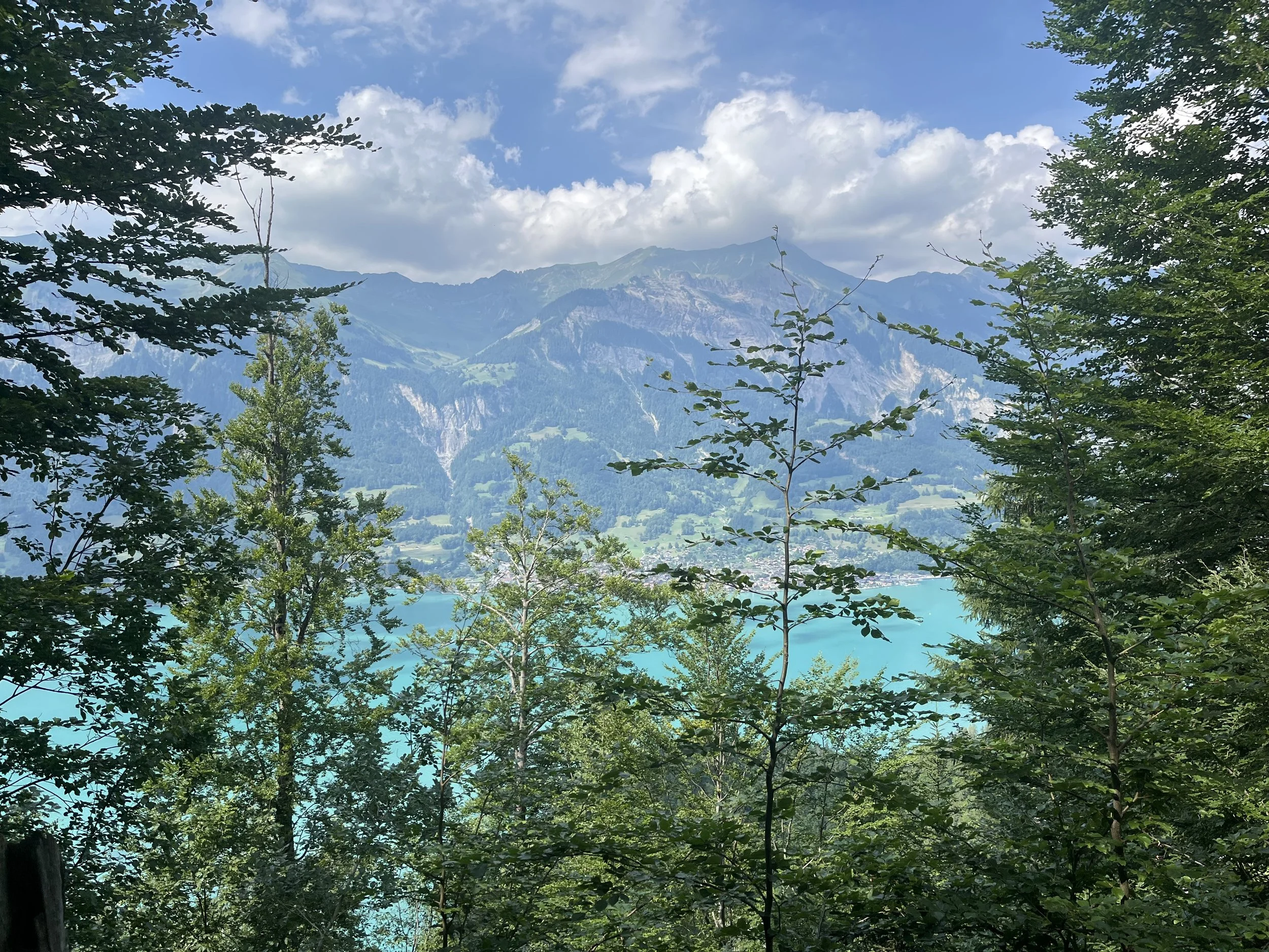 IMG_2071.jpeg