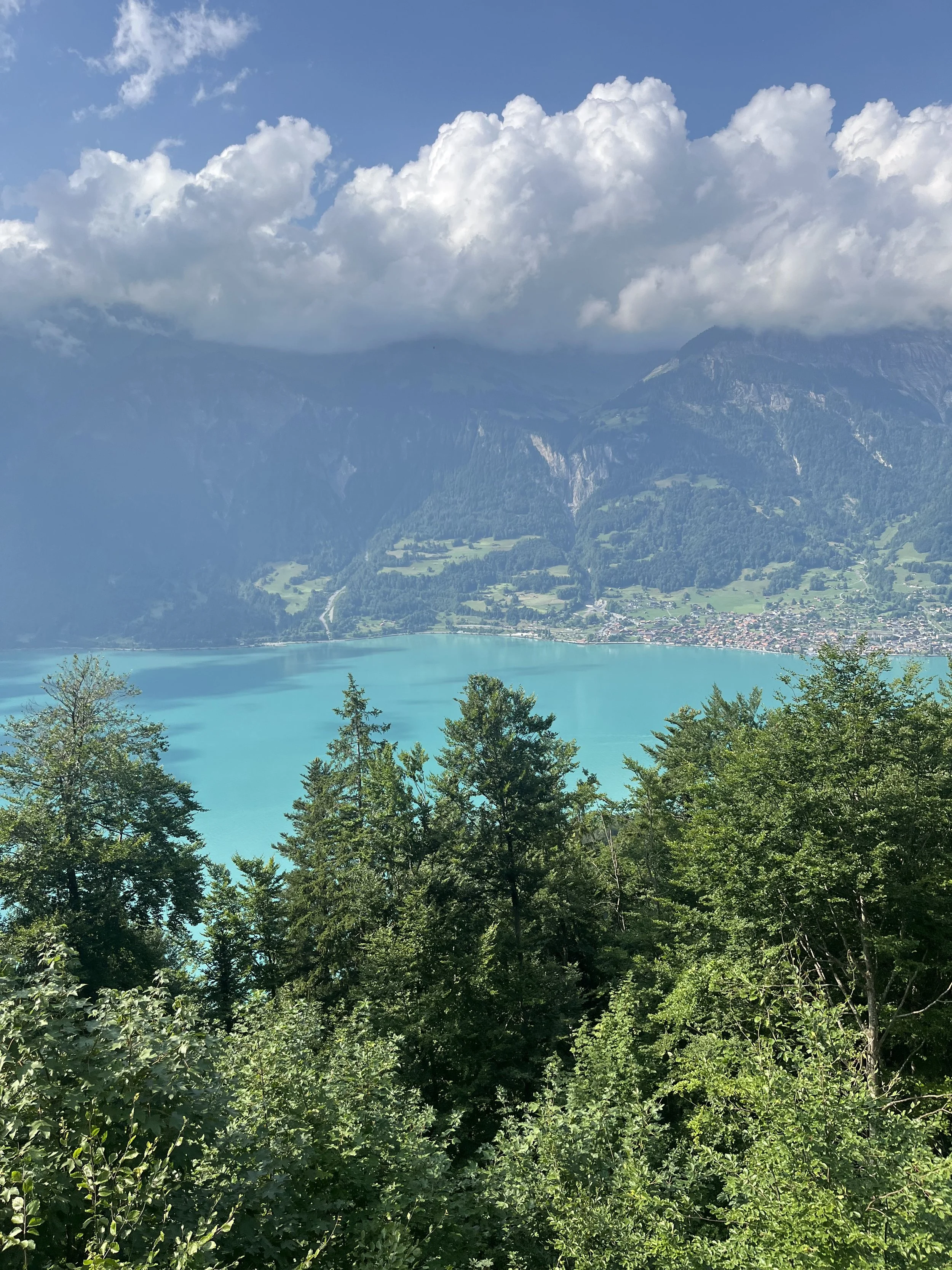 IMG_2064.jpeg