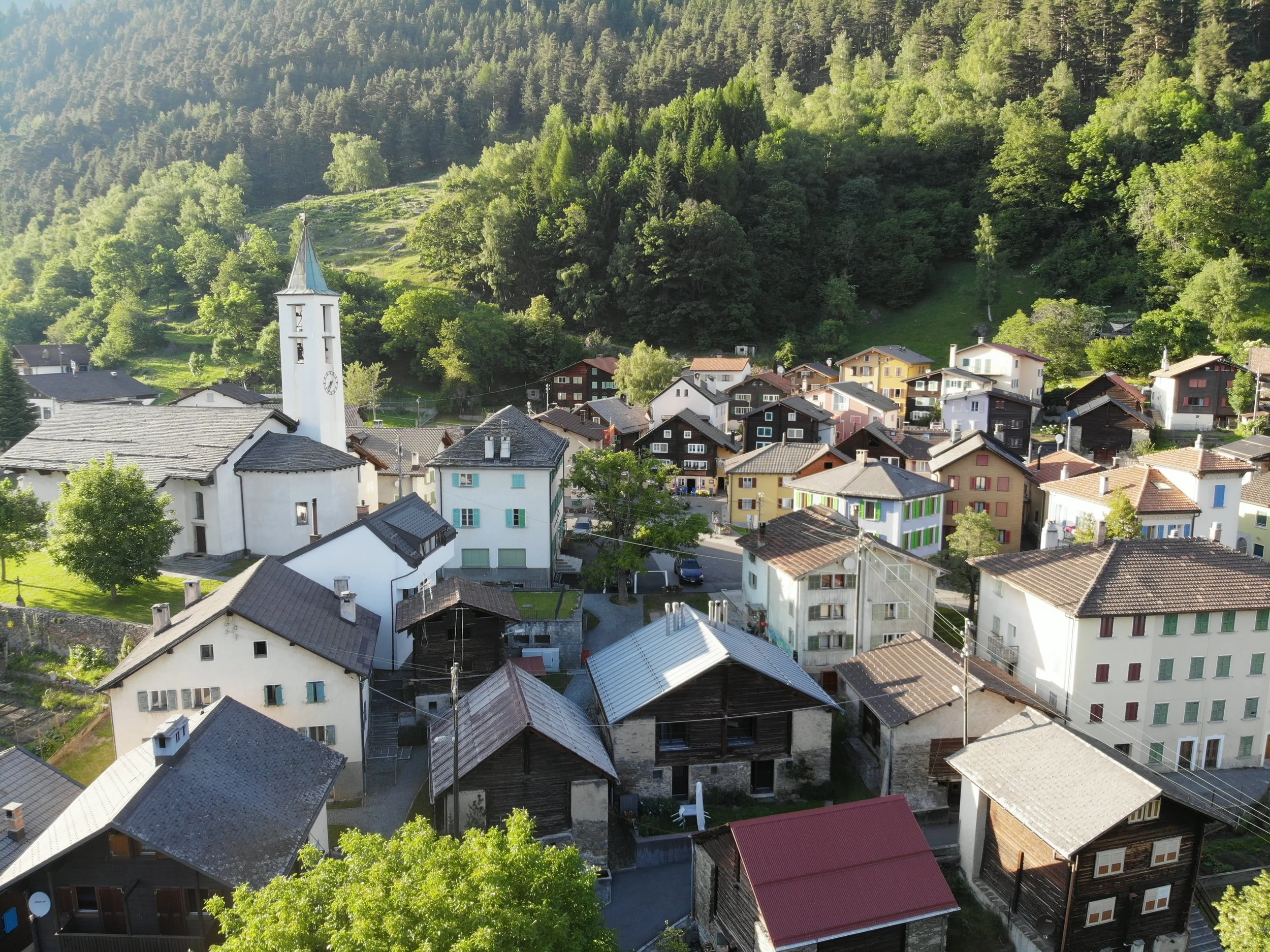 Osco-drone2-PW.JPG
