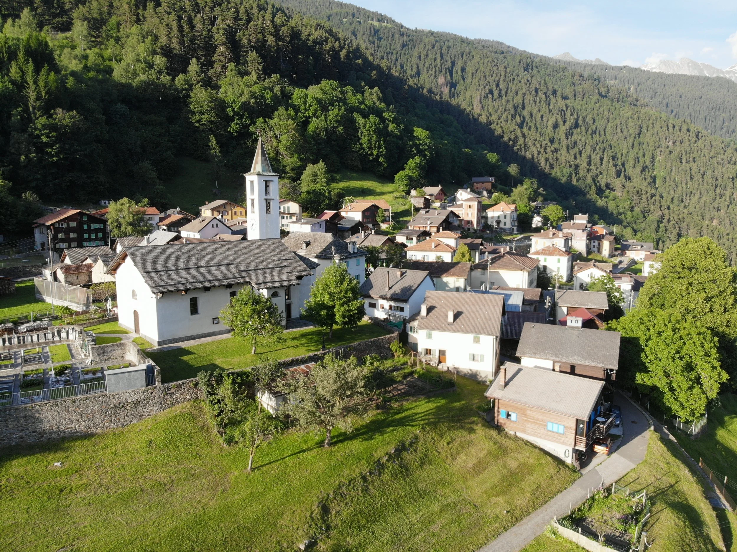 Osco-drone-PW.JPG