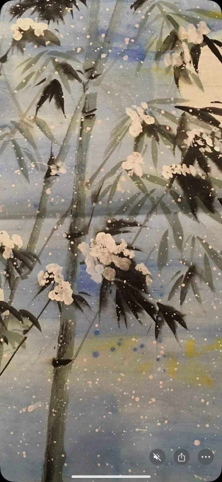 WhatsApp Image 2026-02-07 at 13.38.14 (2).jpeg