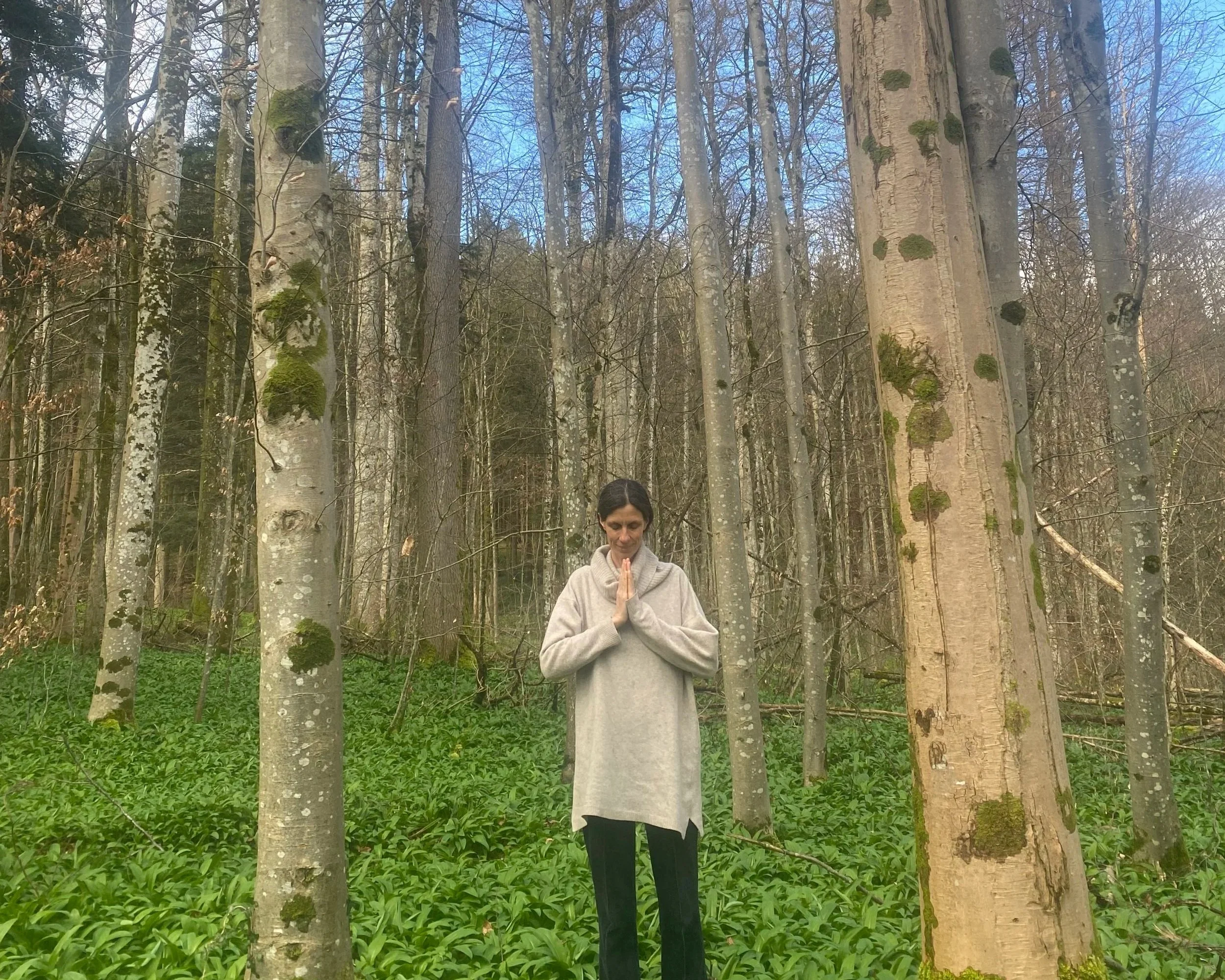 Spring Reconnection Day in Sihlwald Forest &amp; Thalwil studio