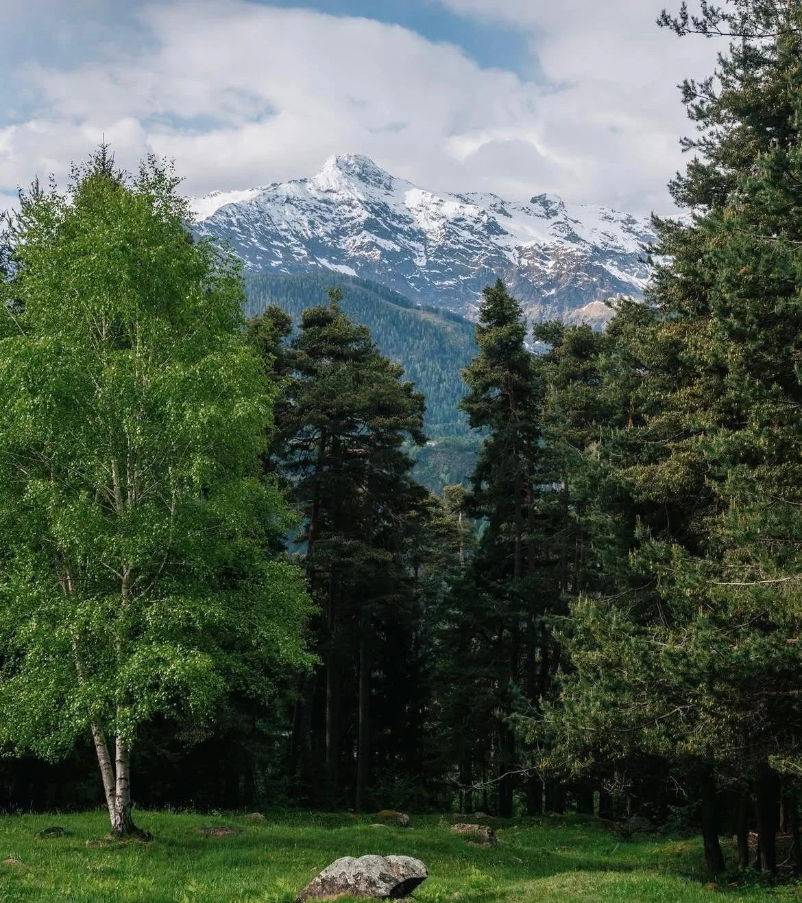 WhatsApp Image 2026-03-27 at 18.15.27 (1).jpeg