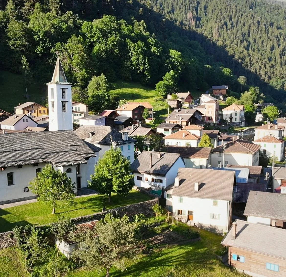 WhatsApp Image 2026-03-27 at 18.15.27.jpeg