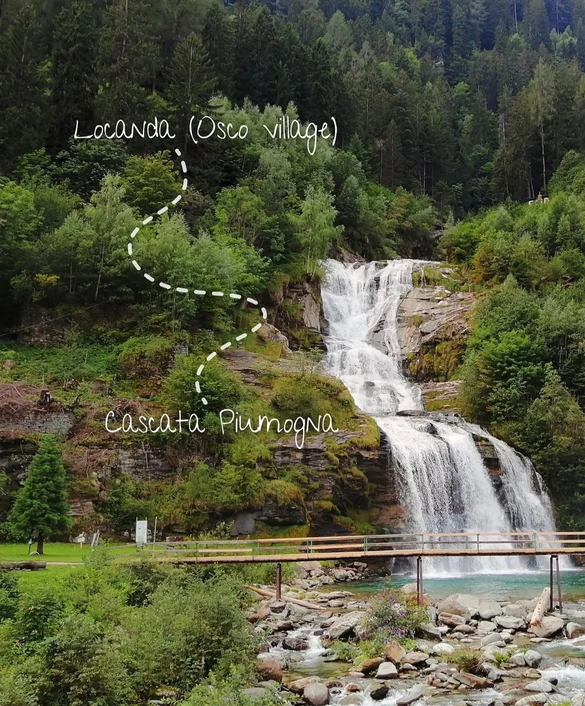 WhatsApp Image 2026-03-27 at 18.15.28.jpeg