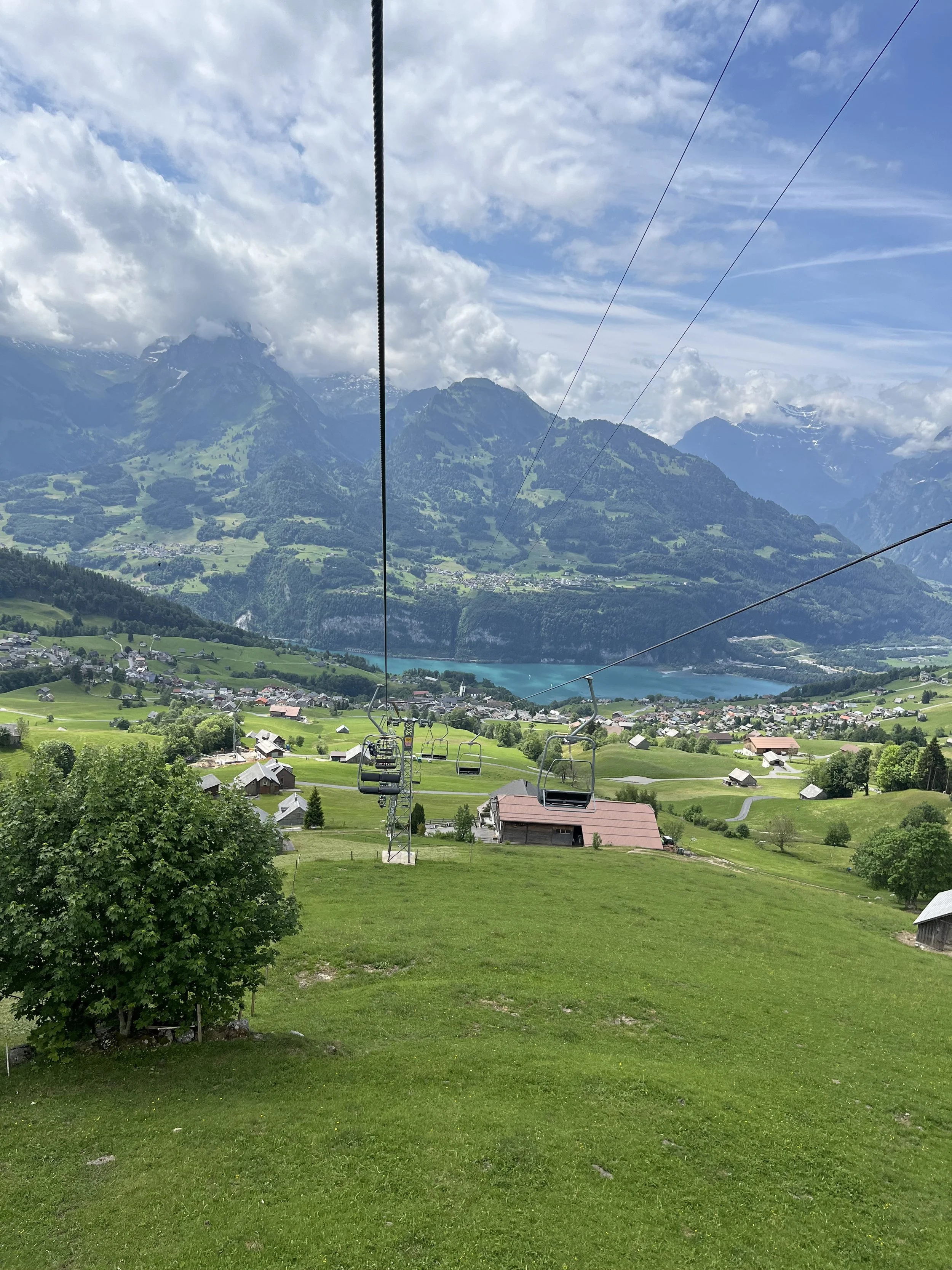 IMG_6765.jpeg