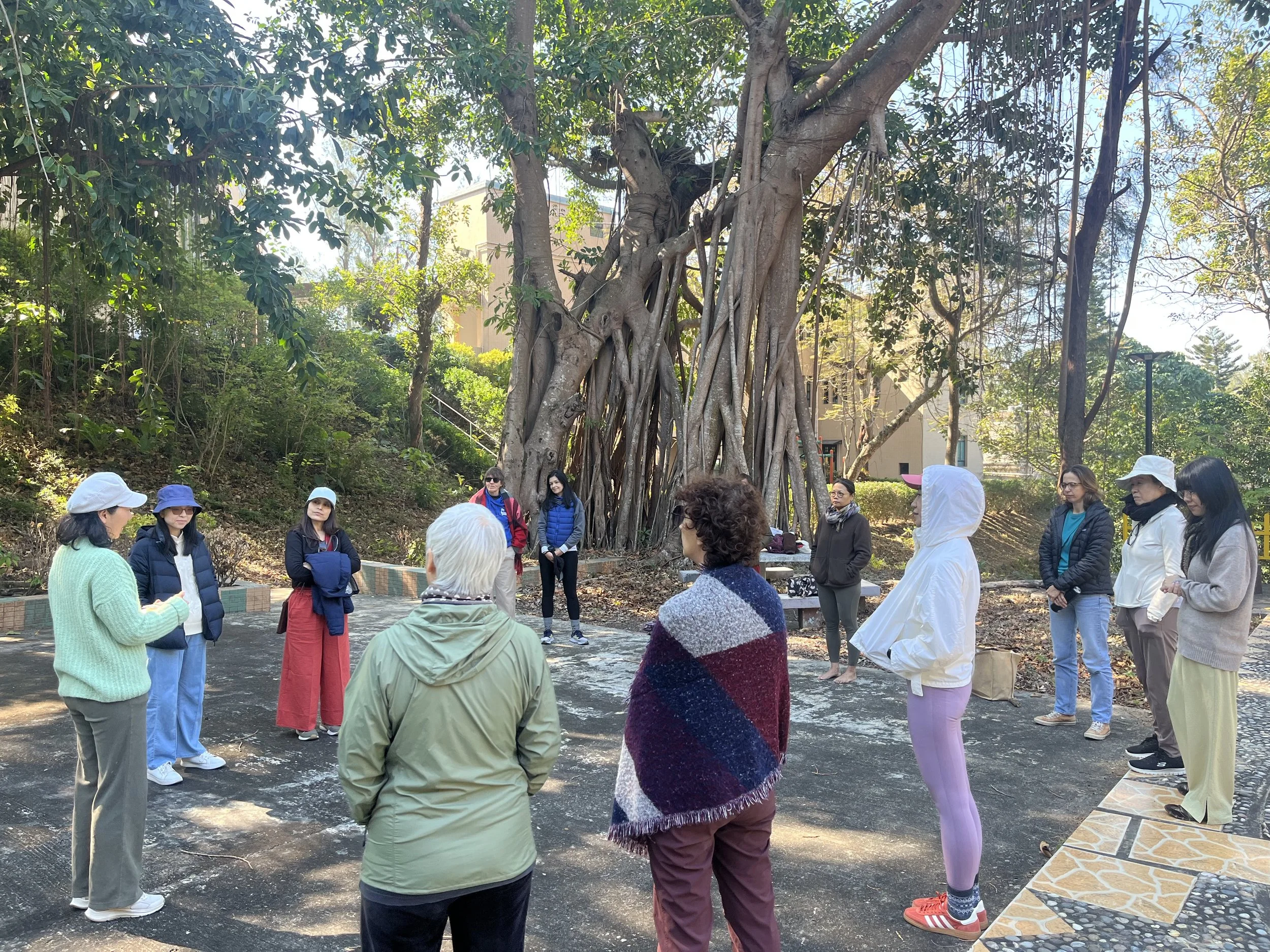 Yoga Nidra and Forest Bathing Immersion Retreat, Cheung Chau, Hong Kong 