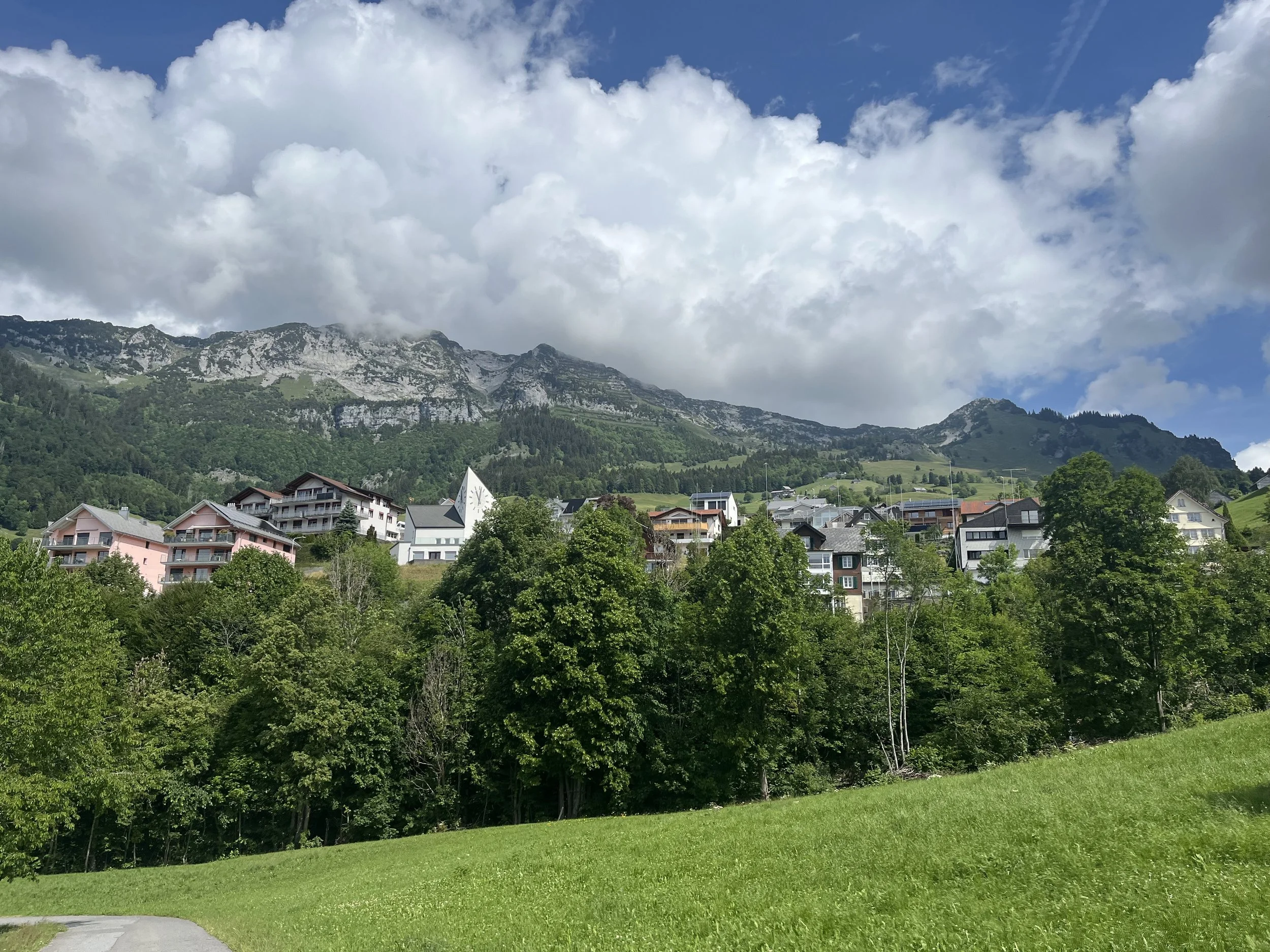 IMG_6707.jpeg