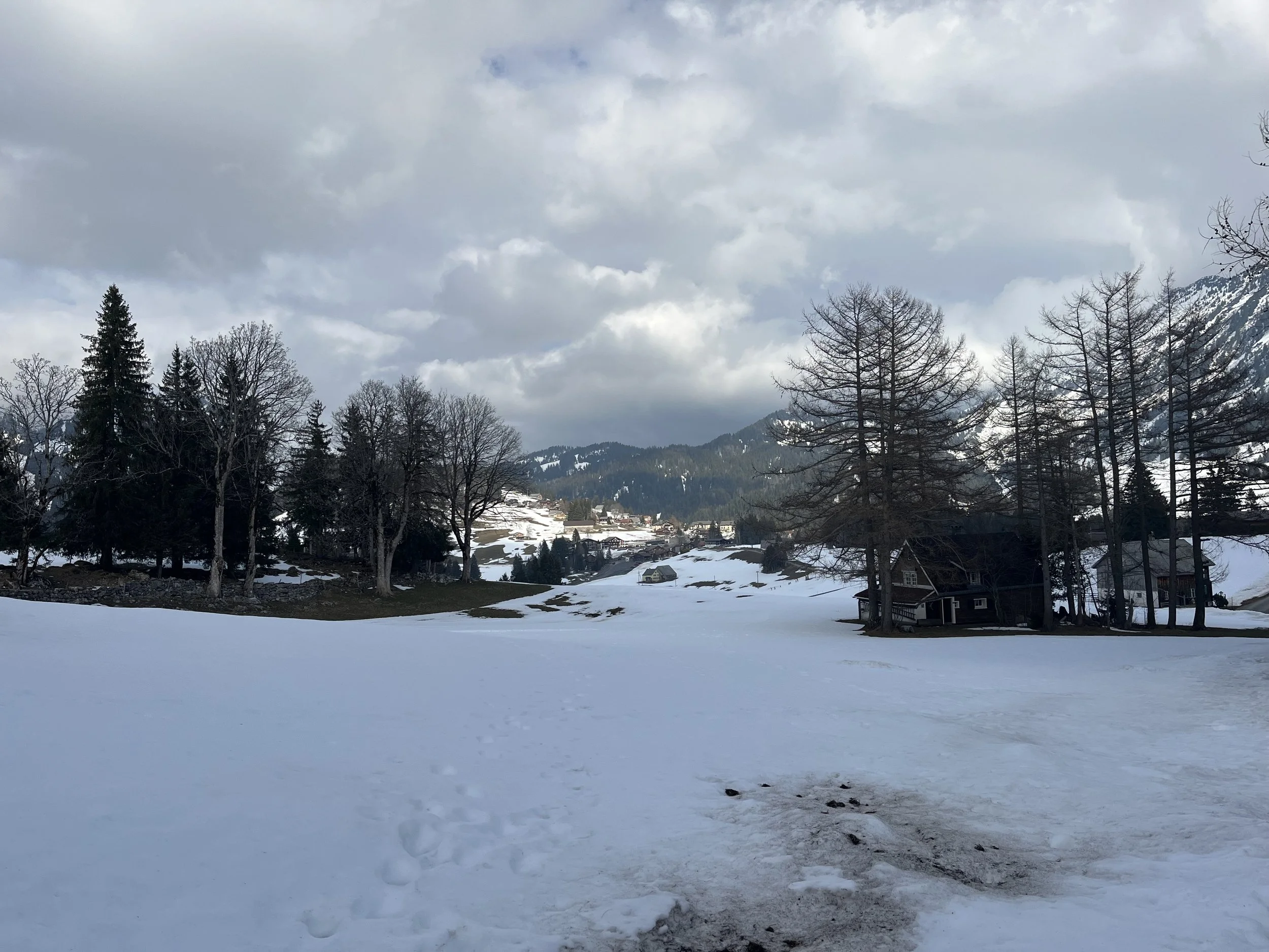 IMG_5549.jpeg