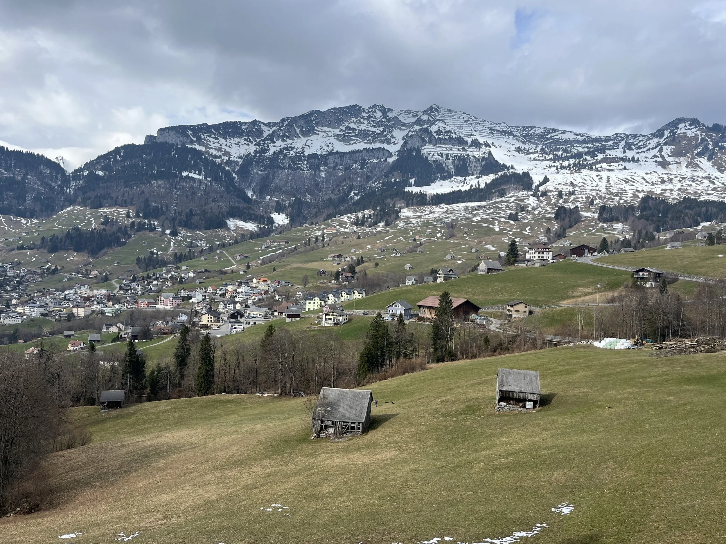 IMG_5533.jpeg