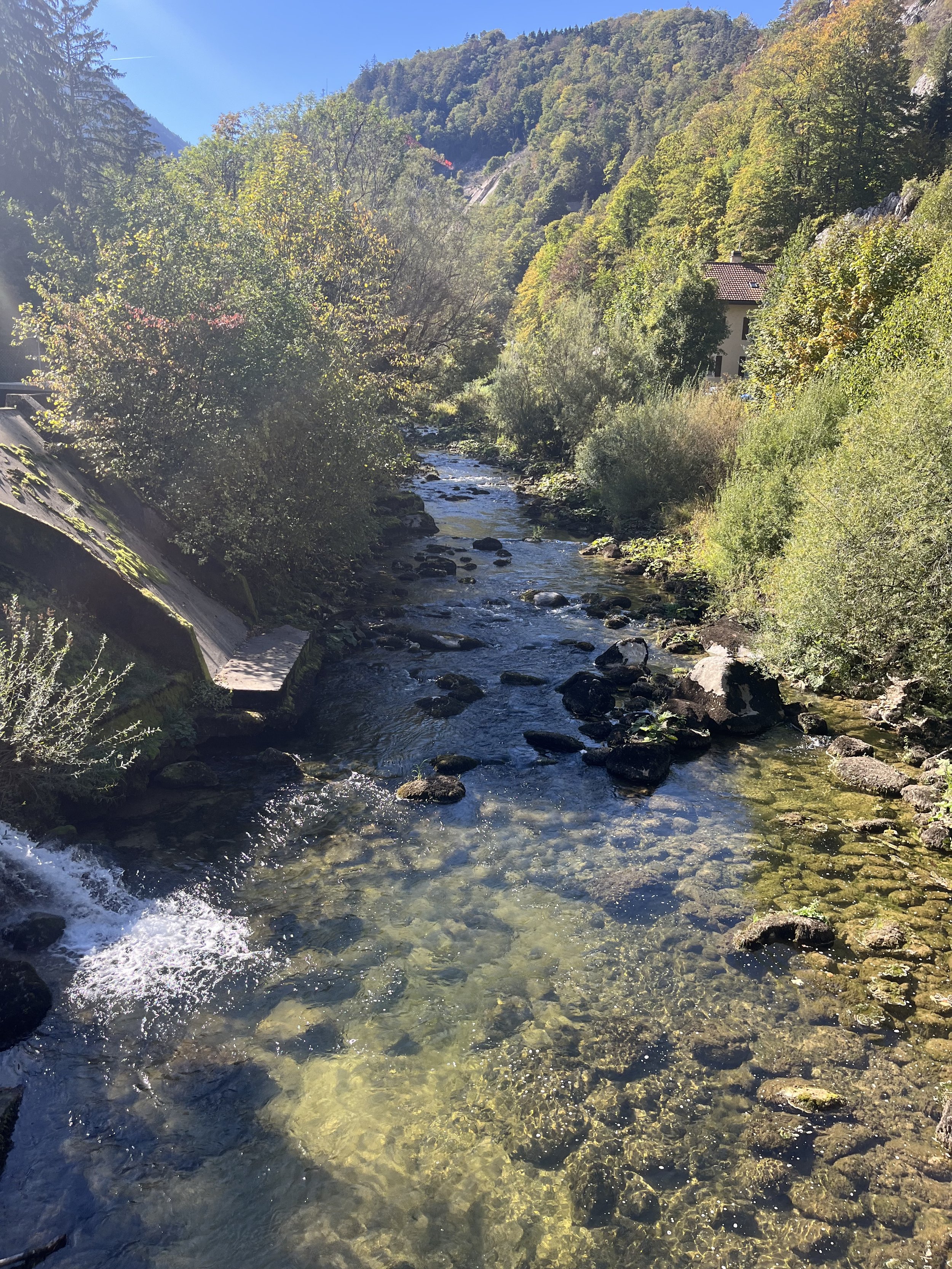 IMG_9390.jpeg